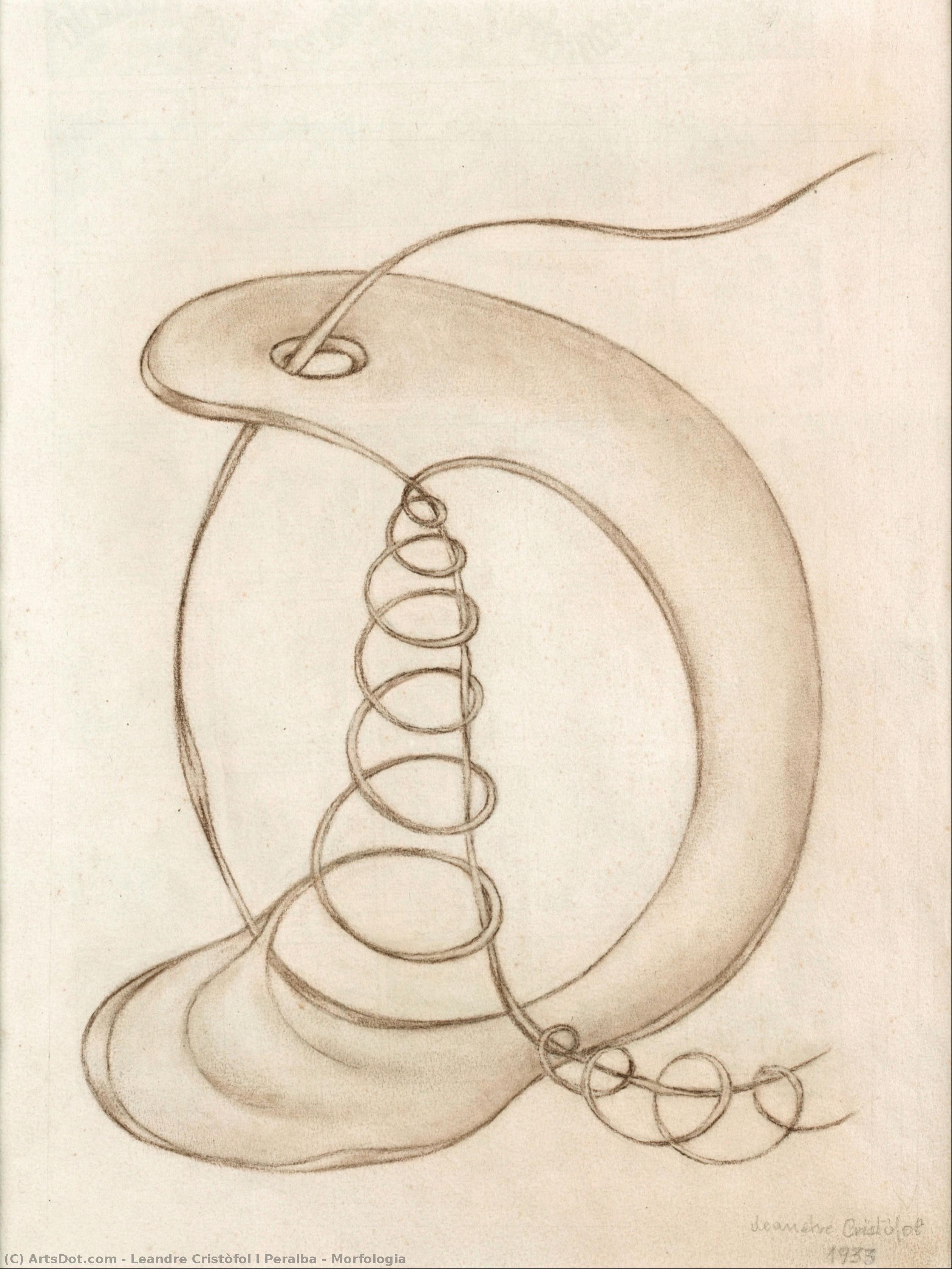 Morfologia — Leandre Cristòfol I Peralba