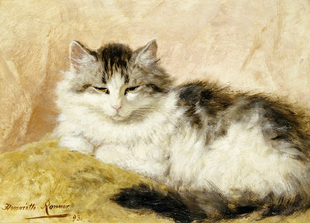 A Cat — Henriette Ronner Knip