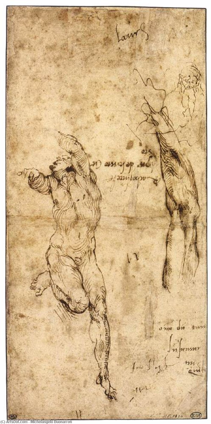 Various Studies (verso) — Michelangelo Buonarroti