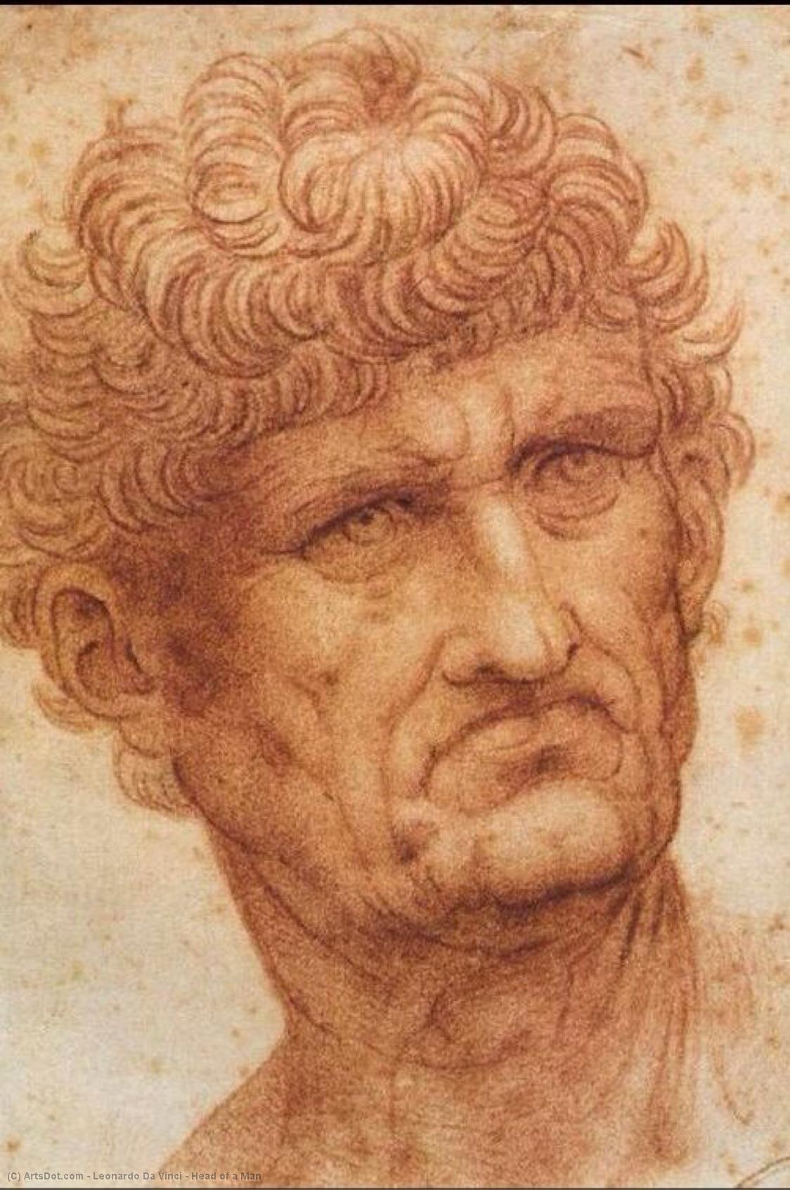 Testa Di Uomo — Leonardo Da Vinci
