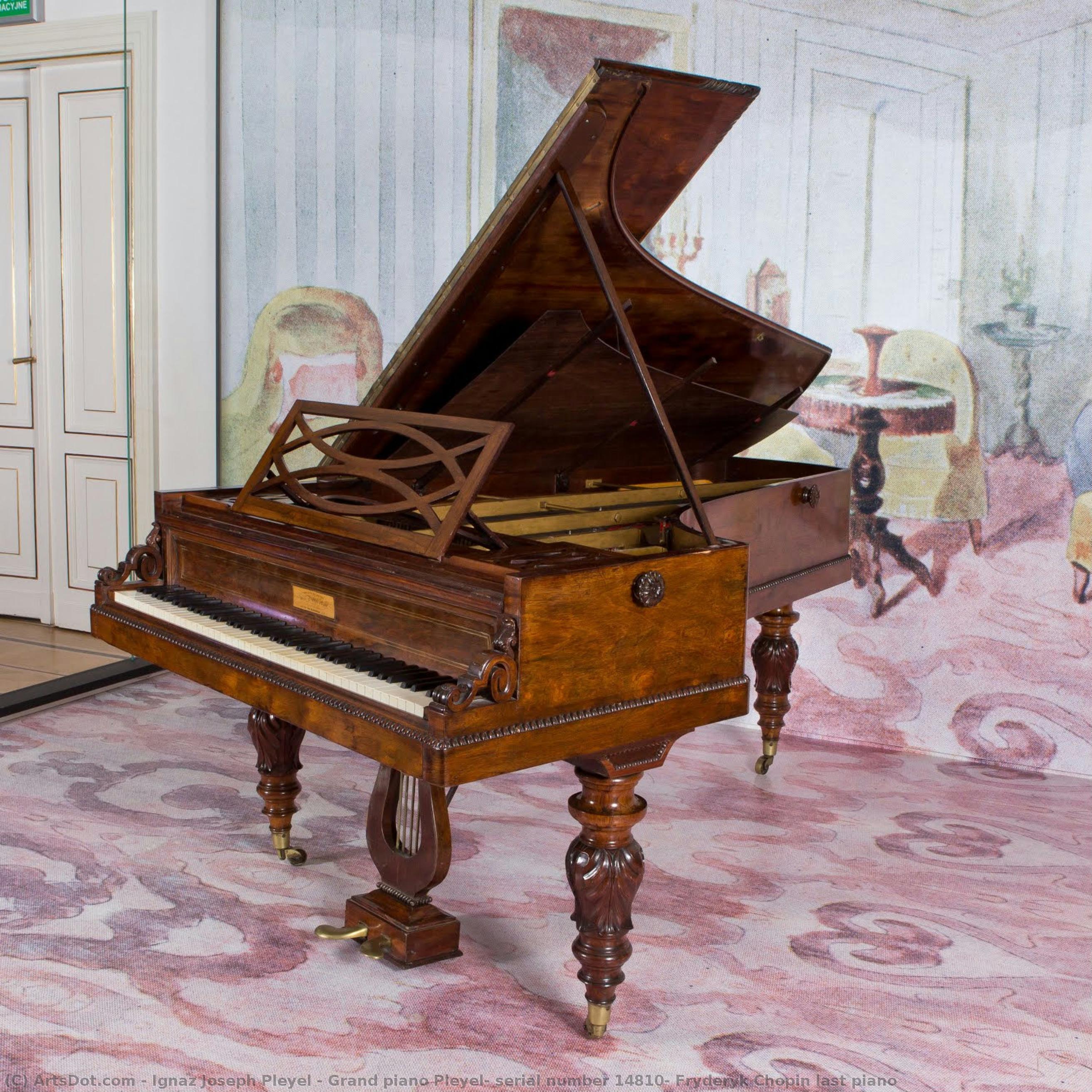 Gran Pianoforte Pleyel, Numero Di Serie 14810, L'ultimo Pianoforte Di Fryderyk Chopin — Ignaz Joseph Pleyel