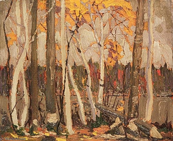 Autumn Birches And Poplars — Thomas Clement Thompson