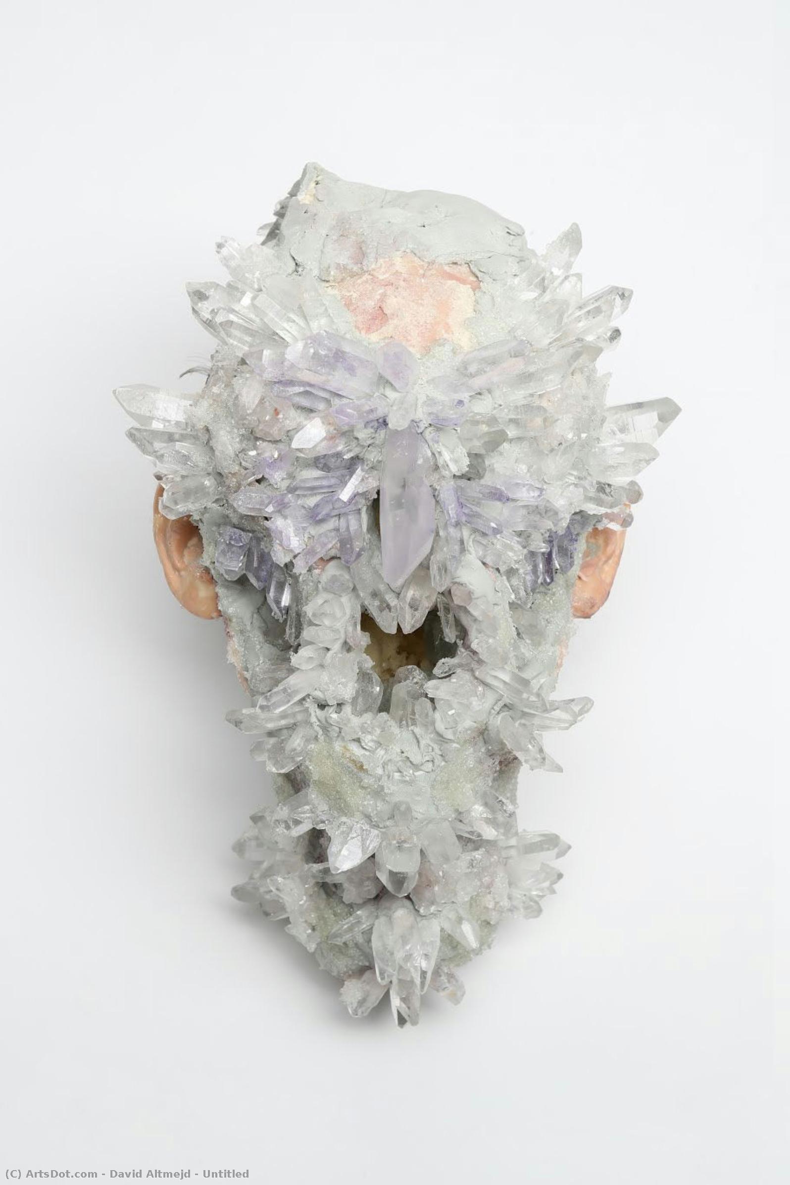 Untitled — David Altmejd