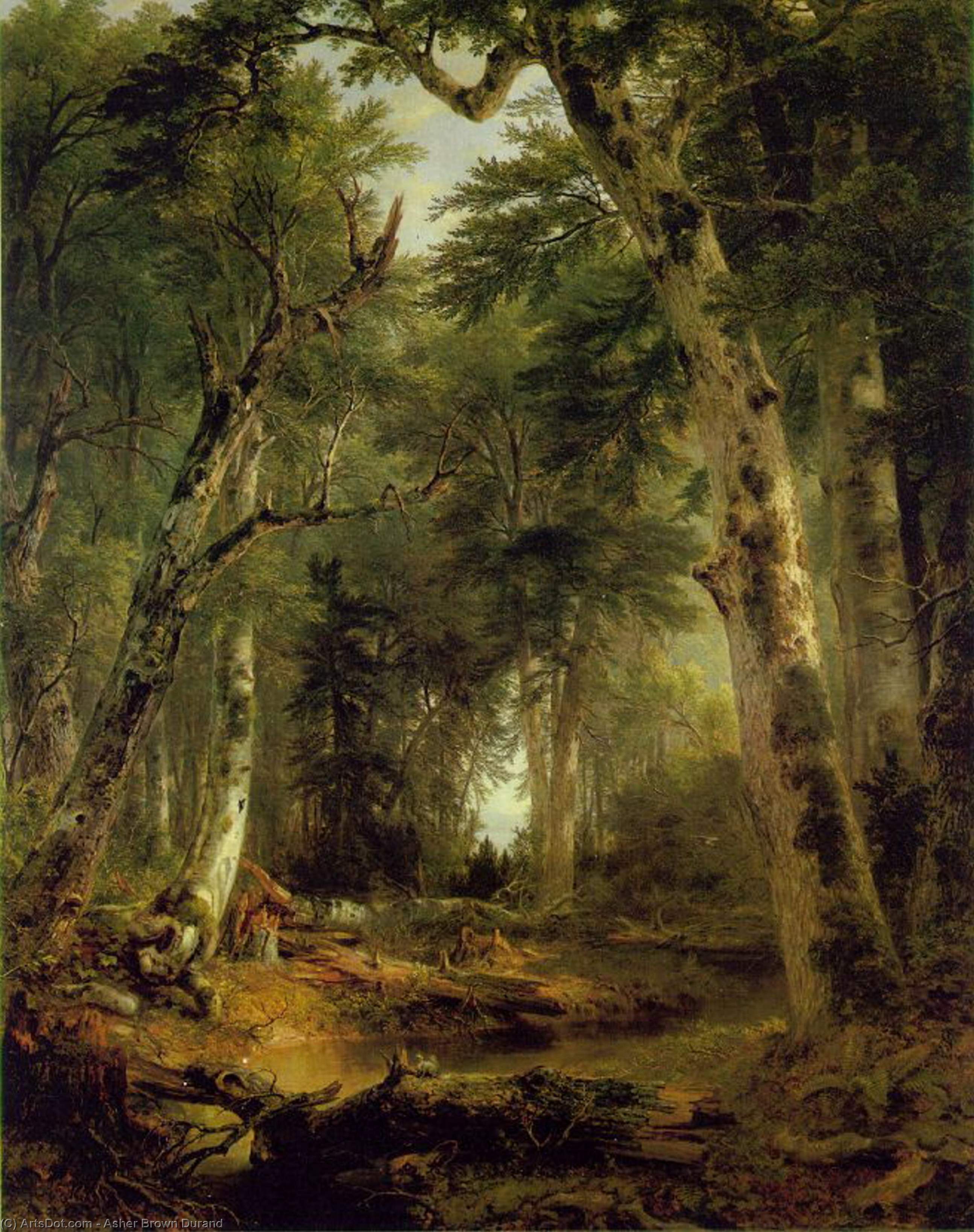 Dans Les Bois — Asher Brown Durand