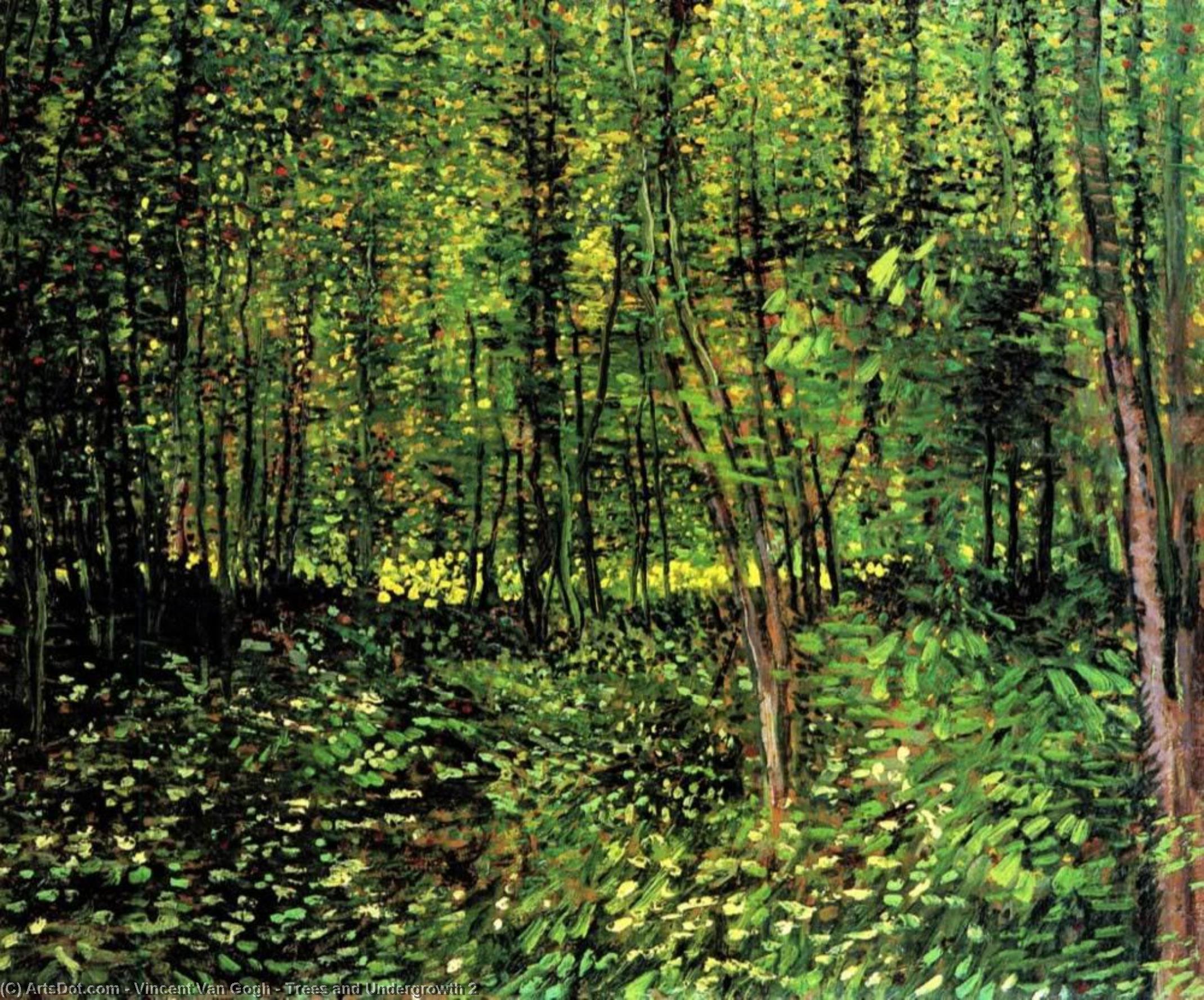 Trær Og Undervegetasjon 2 — Vincent Willem Van Gogh