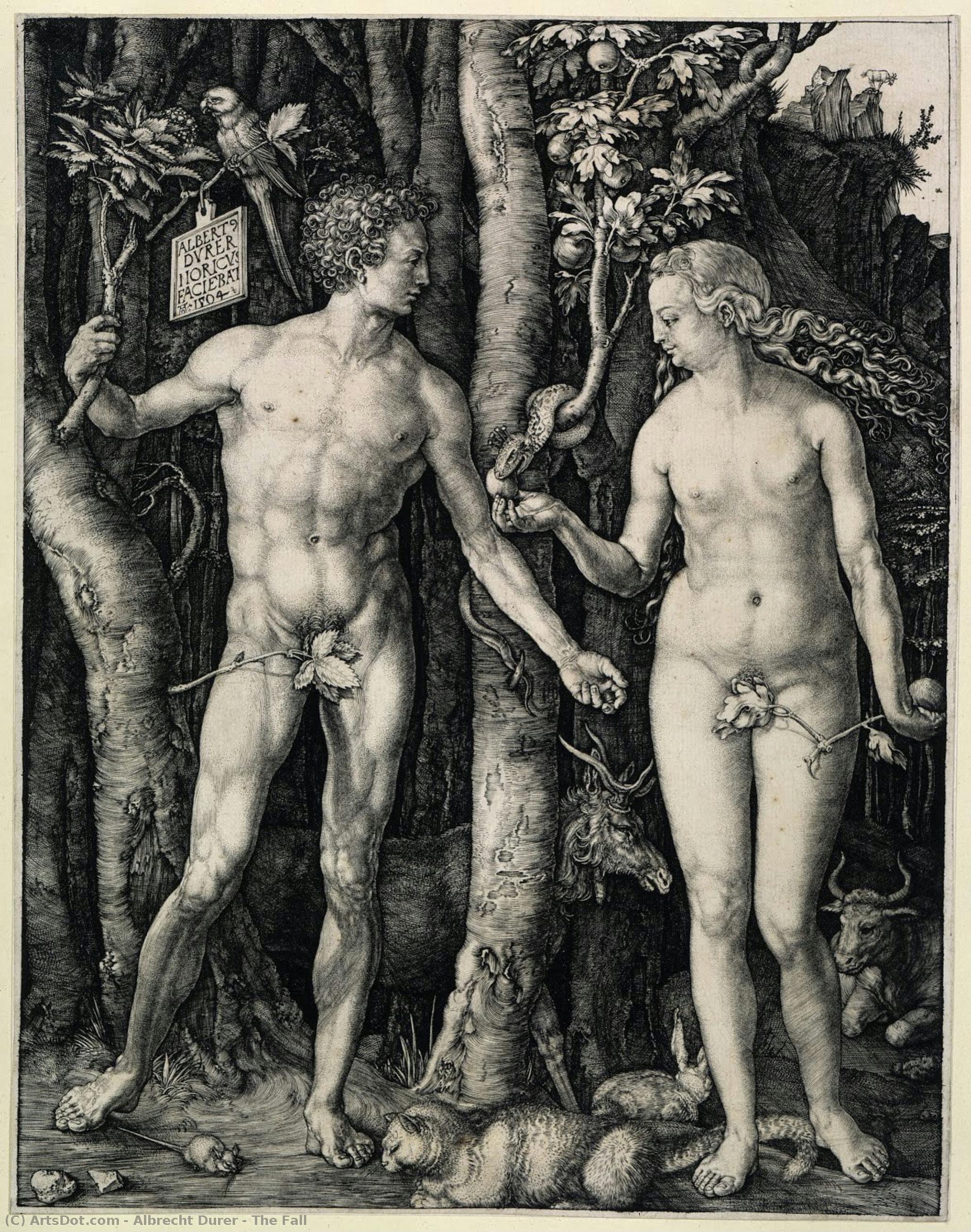Fallet — Albrecht Dürer