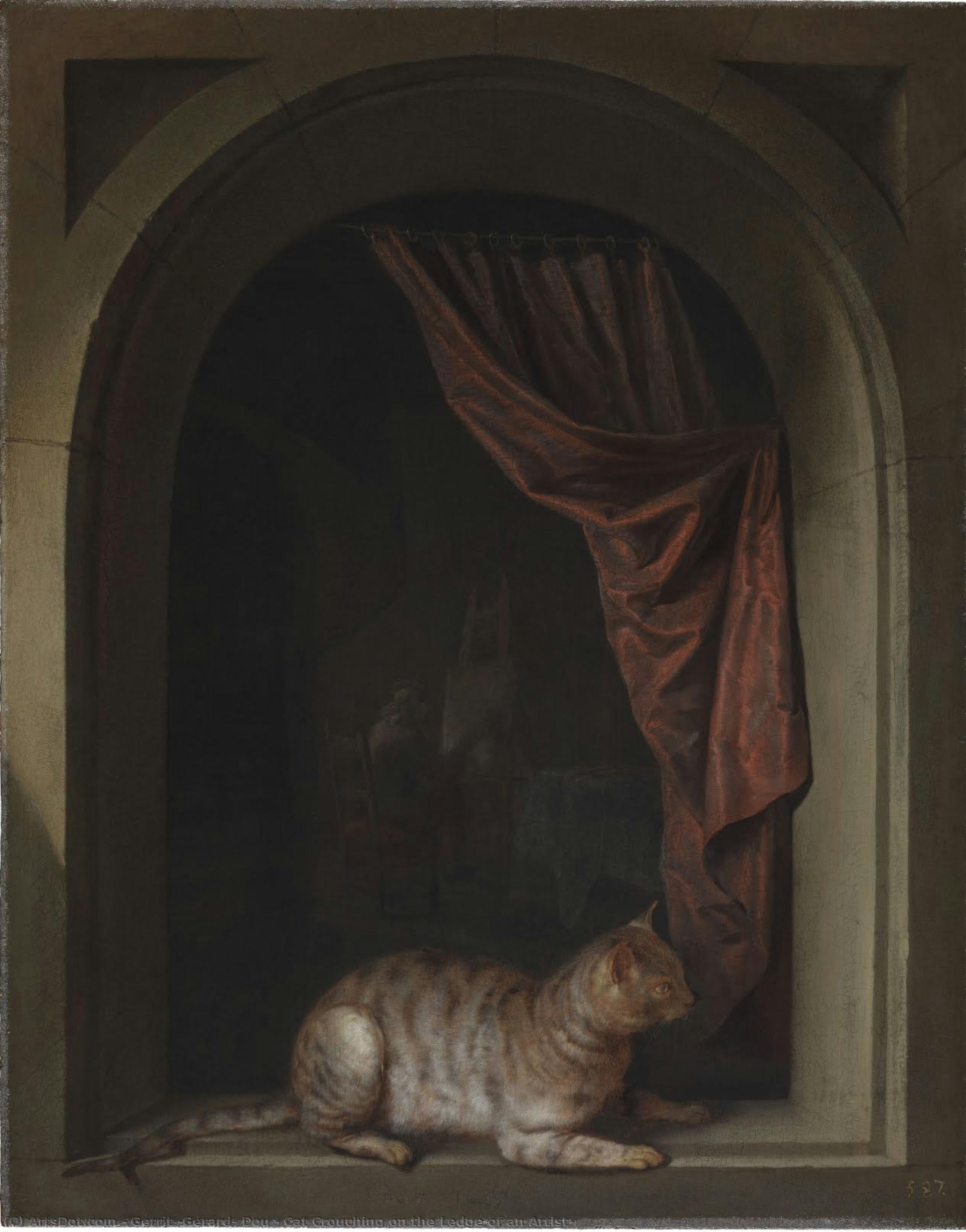 Katt Hvilende På Kantstenen Til En Kunstner — Gerrit Dou