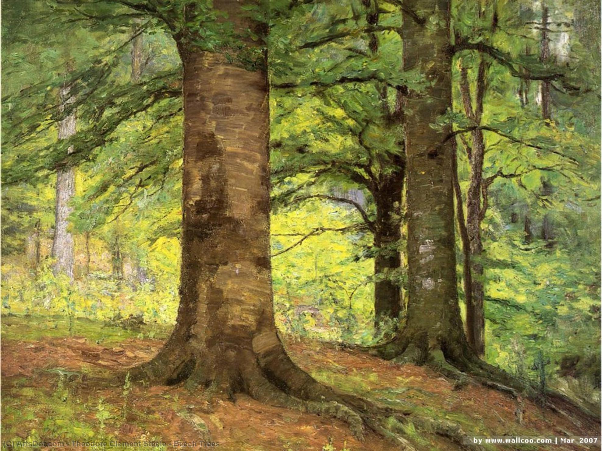 Beech Trees — Theodore Clement Steele