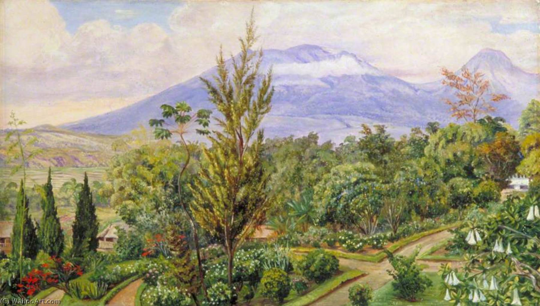 The Gader Volcano, Java, From Sindang Laya — Marianne North