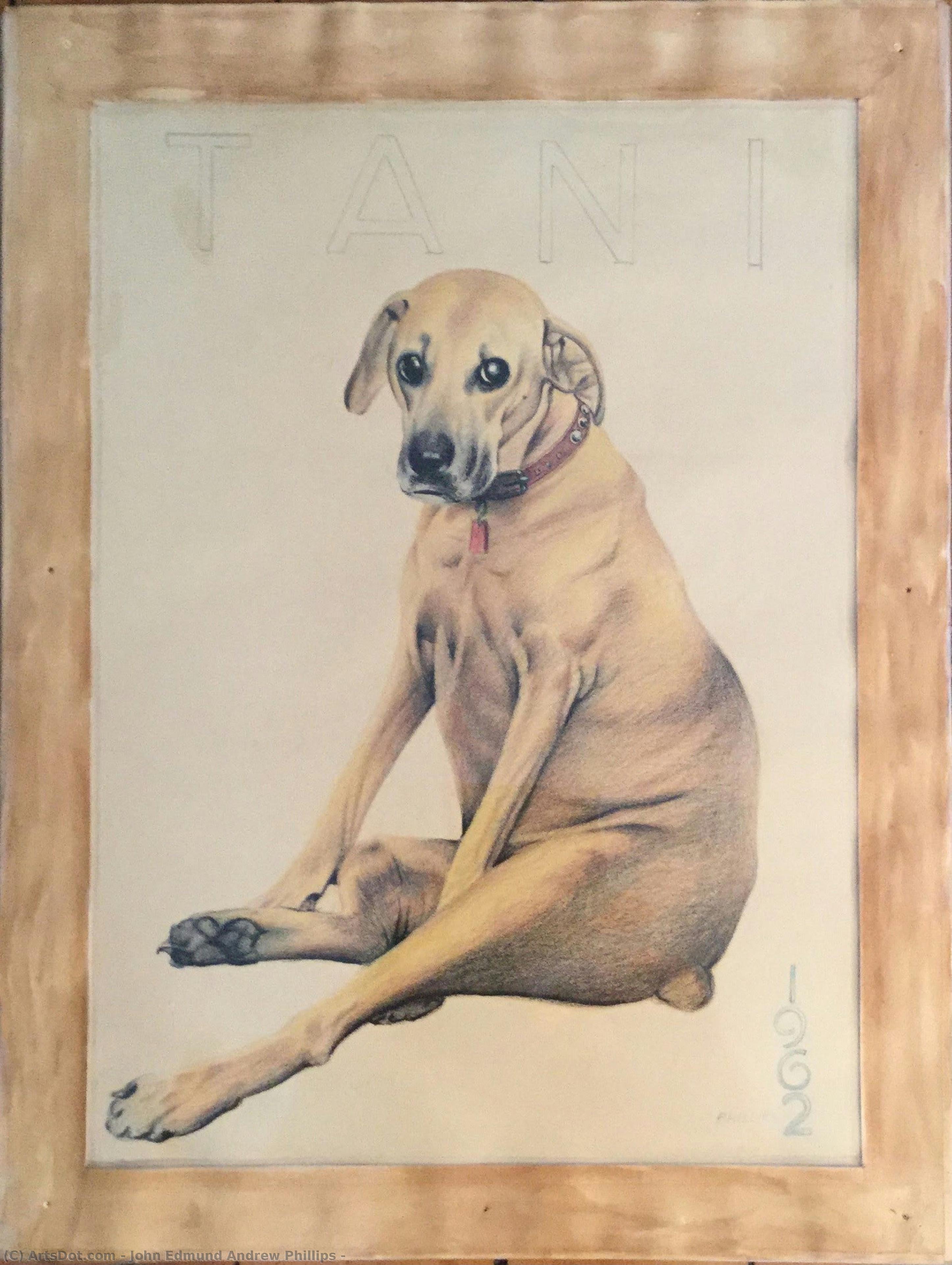 Untitled (dd3fg6) — John Edmund Andrew Phillips