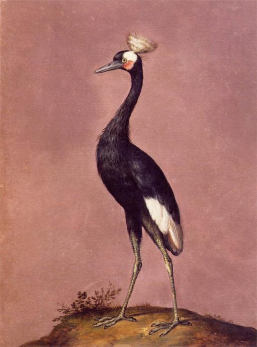 Birds — Giuseppe Arcimboldo