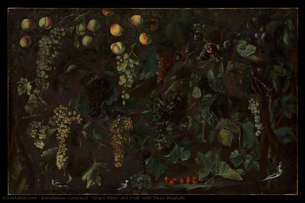 Grape Vines And Fruit, With Three Wagtails — Bartolomeo Cavarozzi