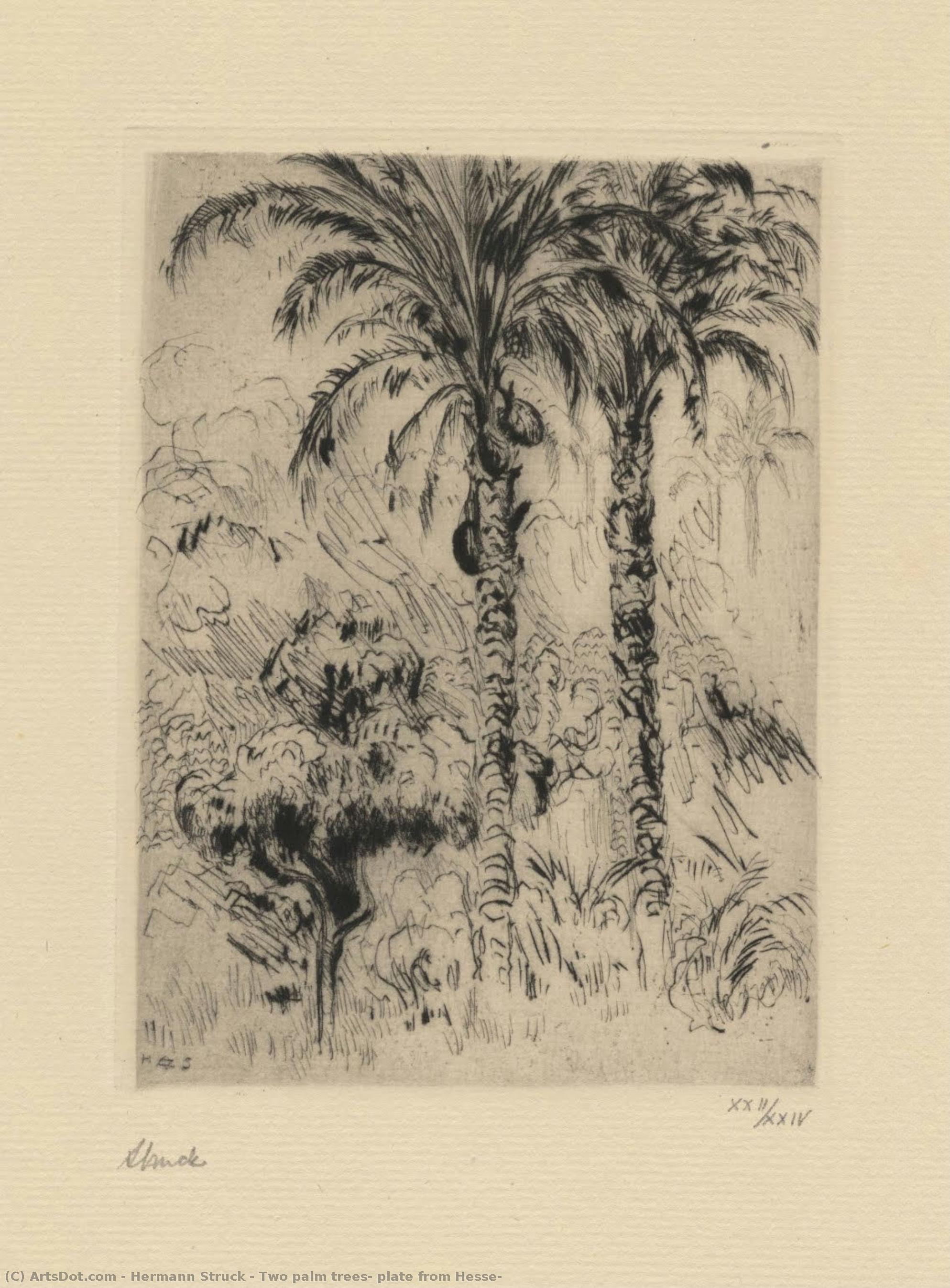 Two Palm Trees, Plate From Hesse — Herman Struk