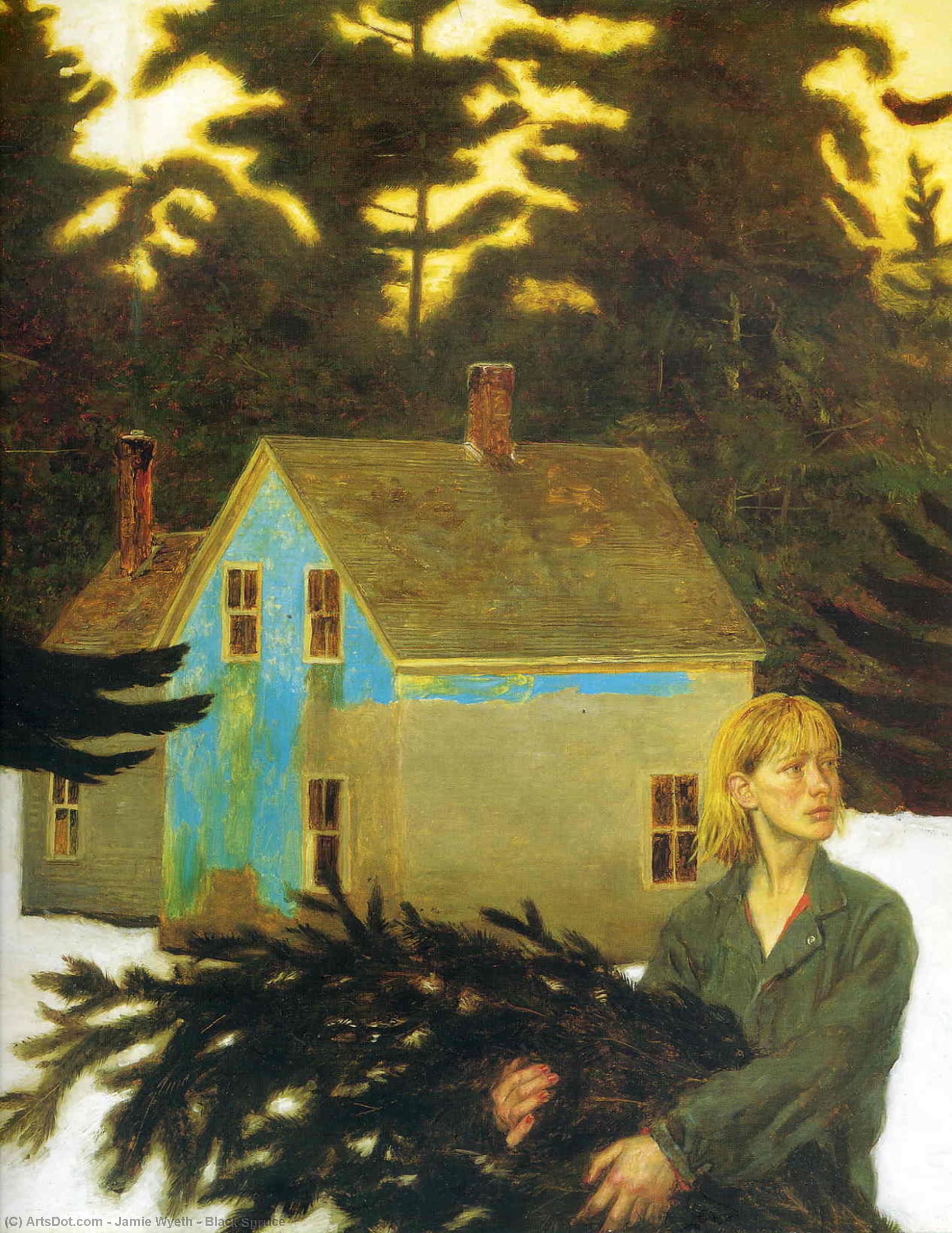 Black Spruce — Jamie Wyeth