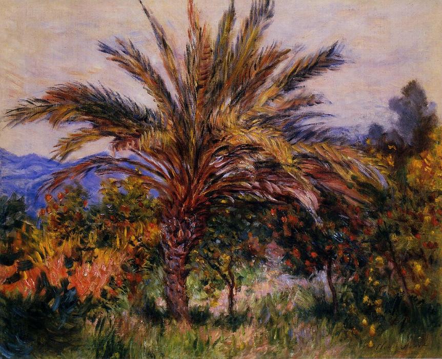 Palm Tree At Bordighera — Claude Monet