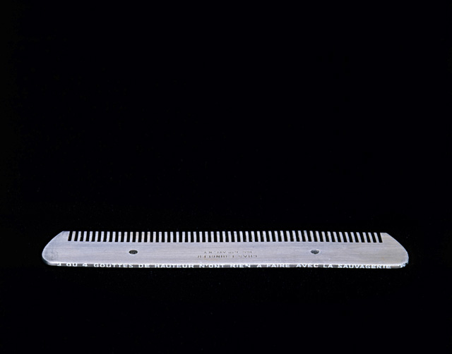 Comb — Marcel Duchamp