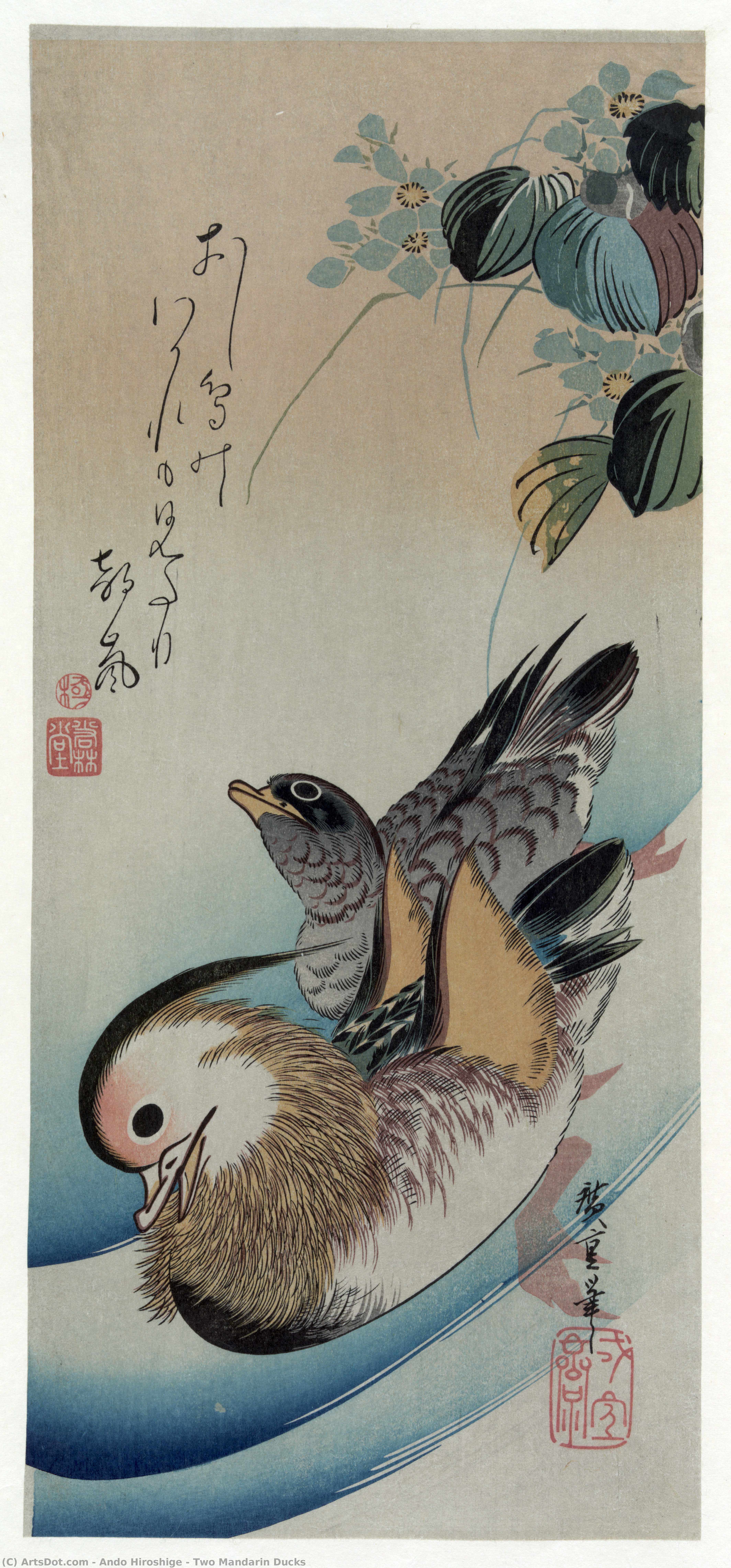 Two Mandarin Ducks — Hiroshige