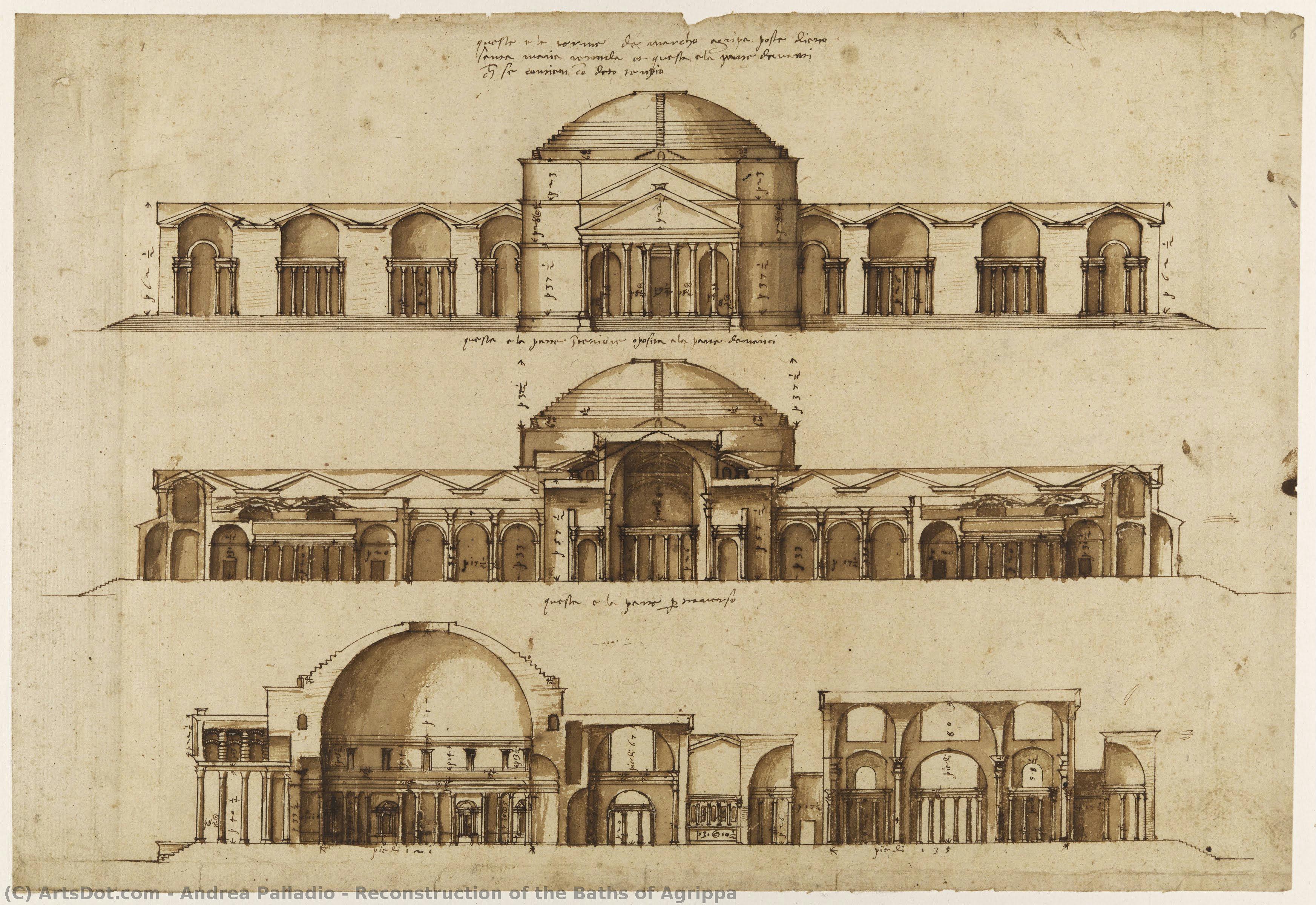 Reconstruction Des Thermes D'agrippa — Andrea Palladio