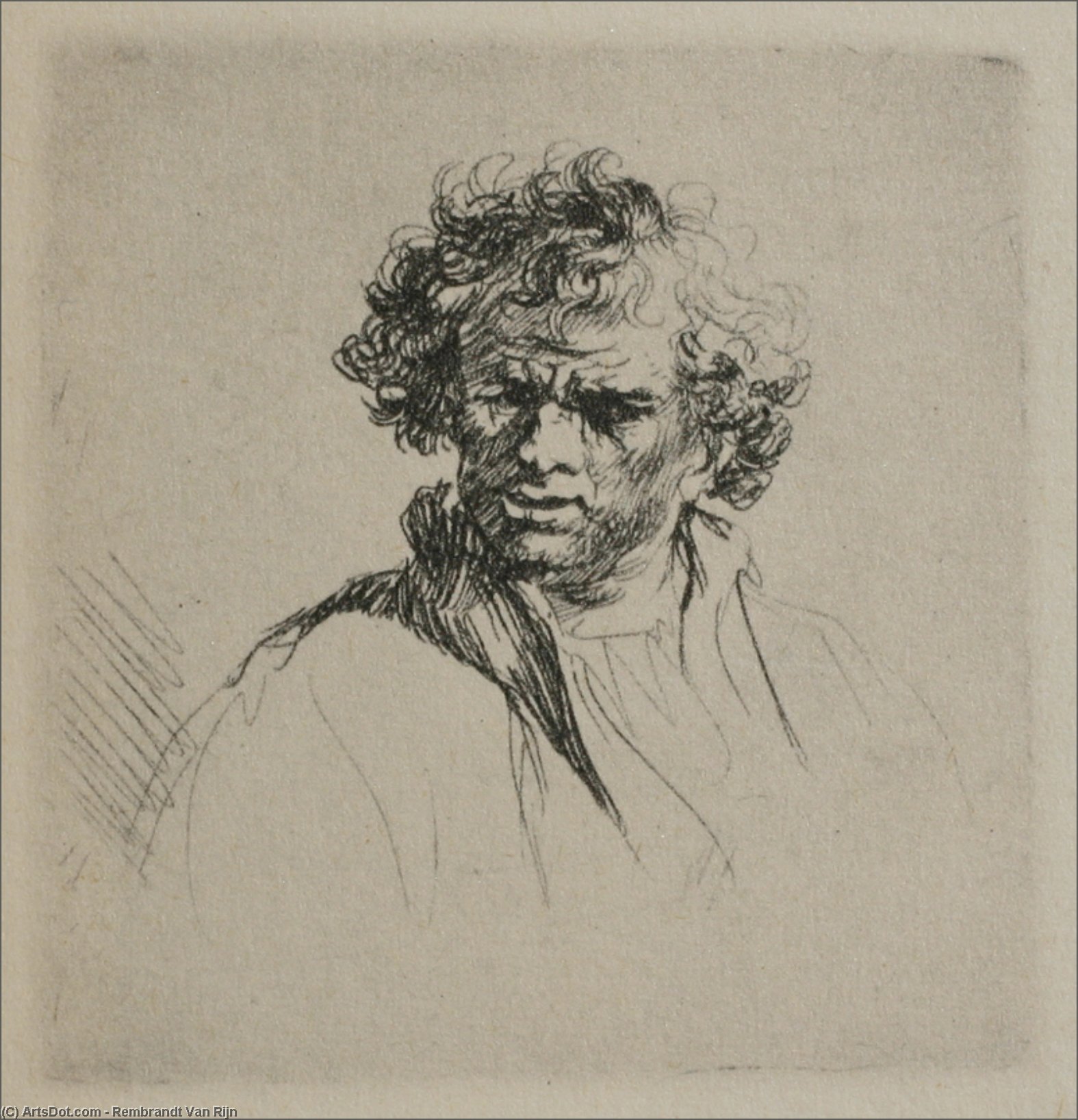 Mann Med Krøller — Rembrandt Van Rijn