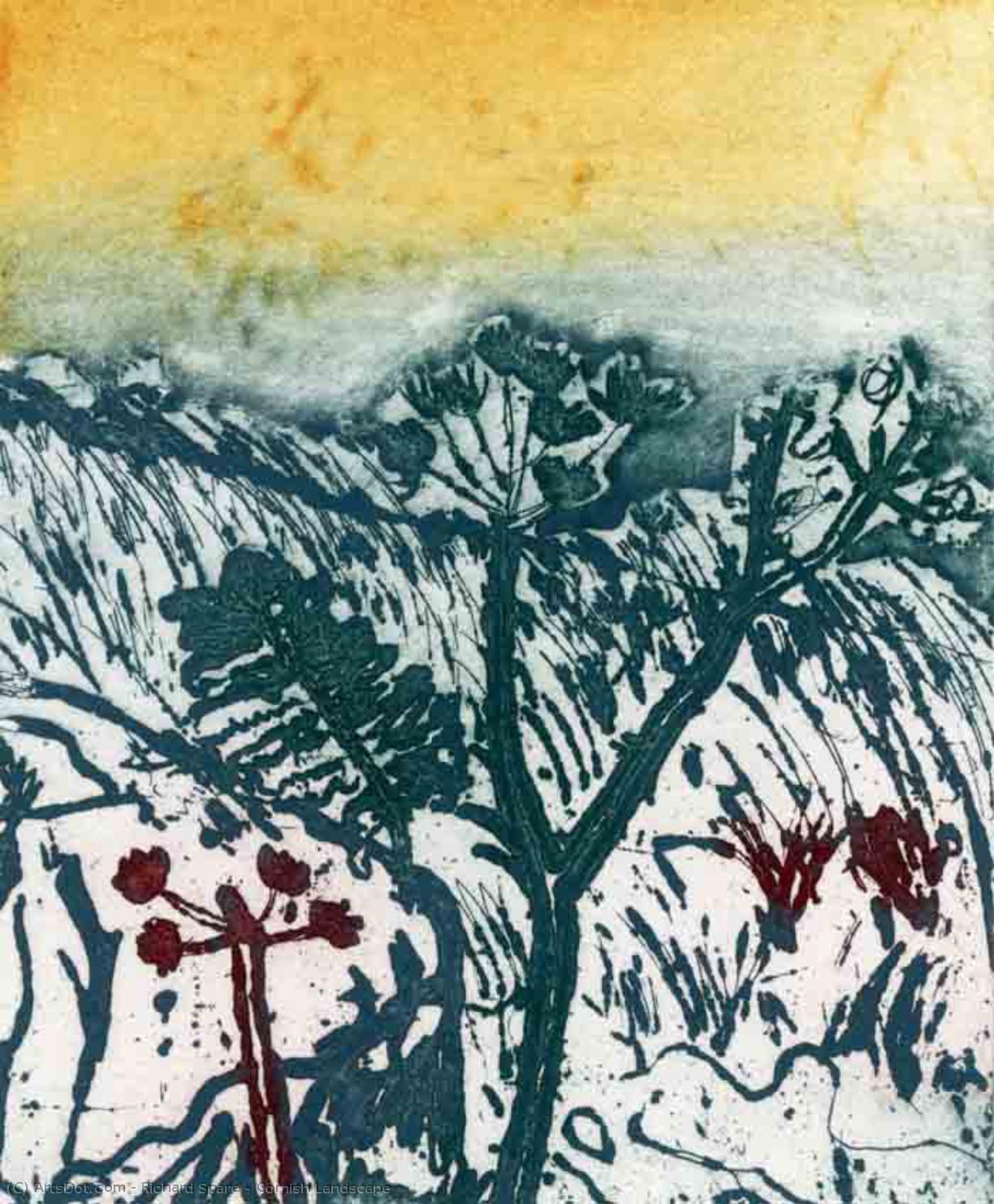 Cornish Landscape — Richard John Spare
