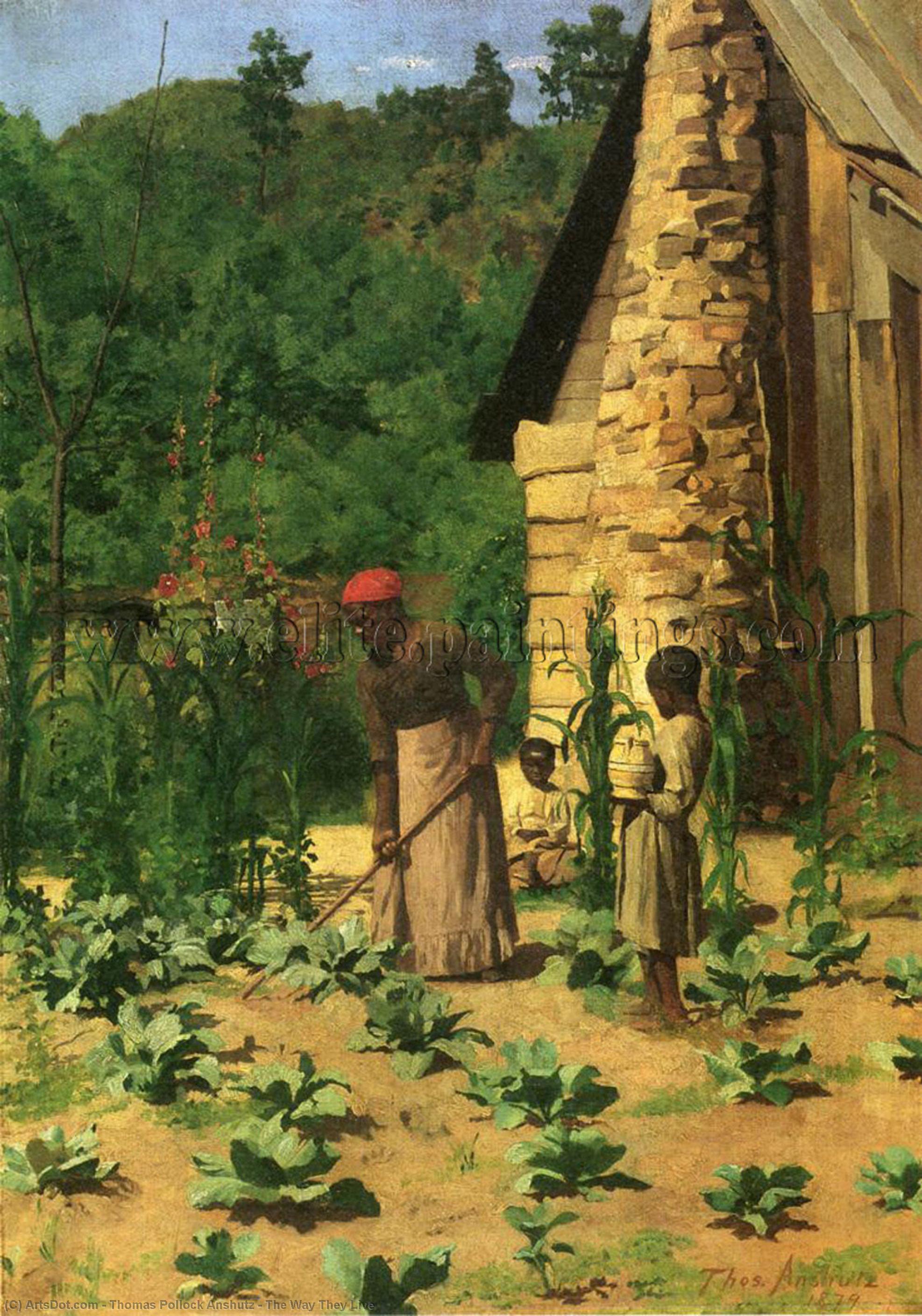 The Way They Live — Tomas Polok Anšc
