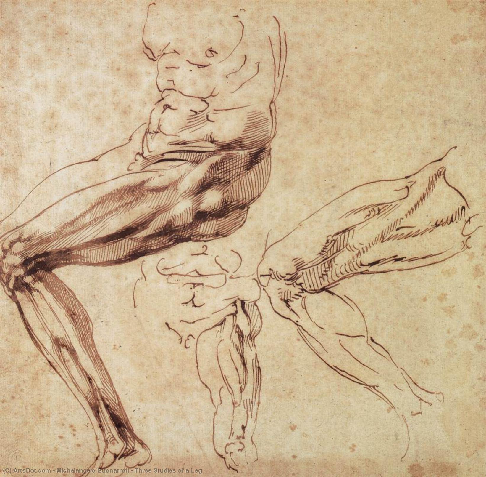 Three Studies Of A Leg — Michelangelo Buonarroti