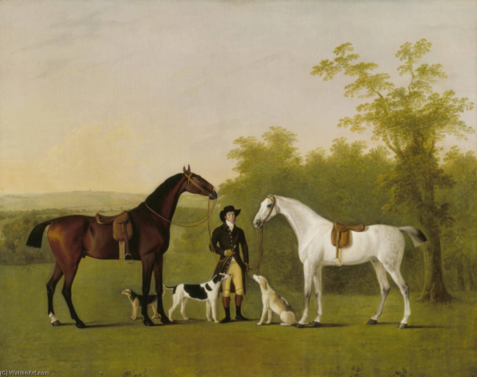 Two Hunters 'prophet' And 'surprise' — John Boultbee