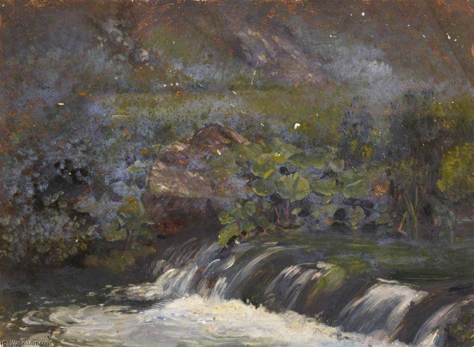 Waterfall With Leaves — Thomas Stuart Smith