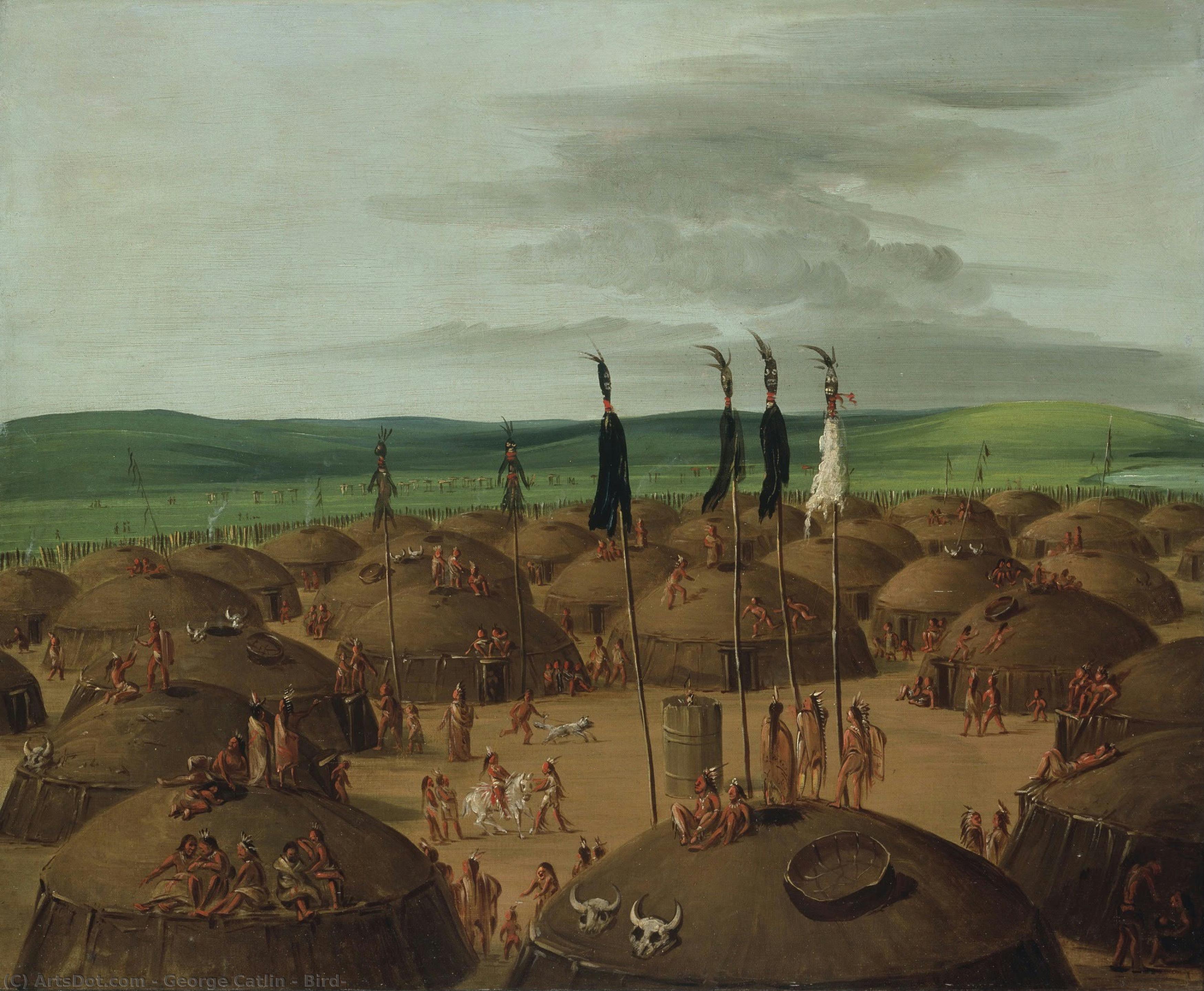 Uccello — George Catlin