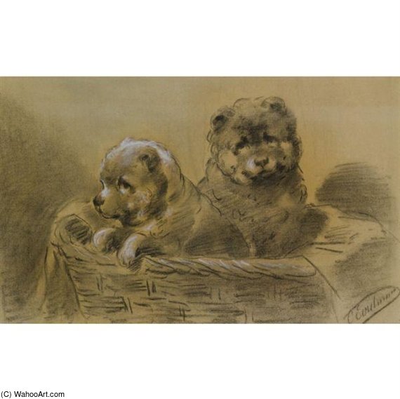 Two St Bernard Puppies — Otto Eerelman