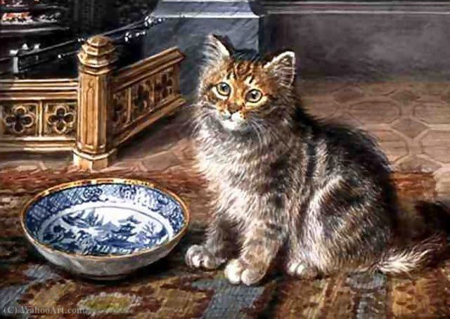 Expectation — Wilson Hepple