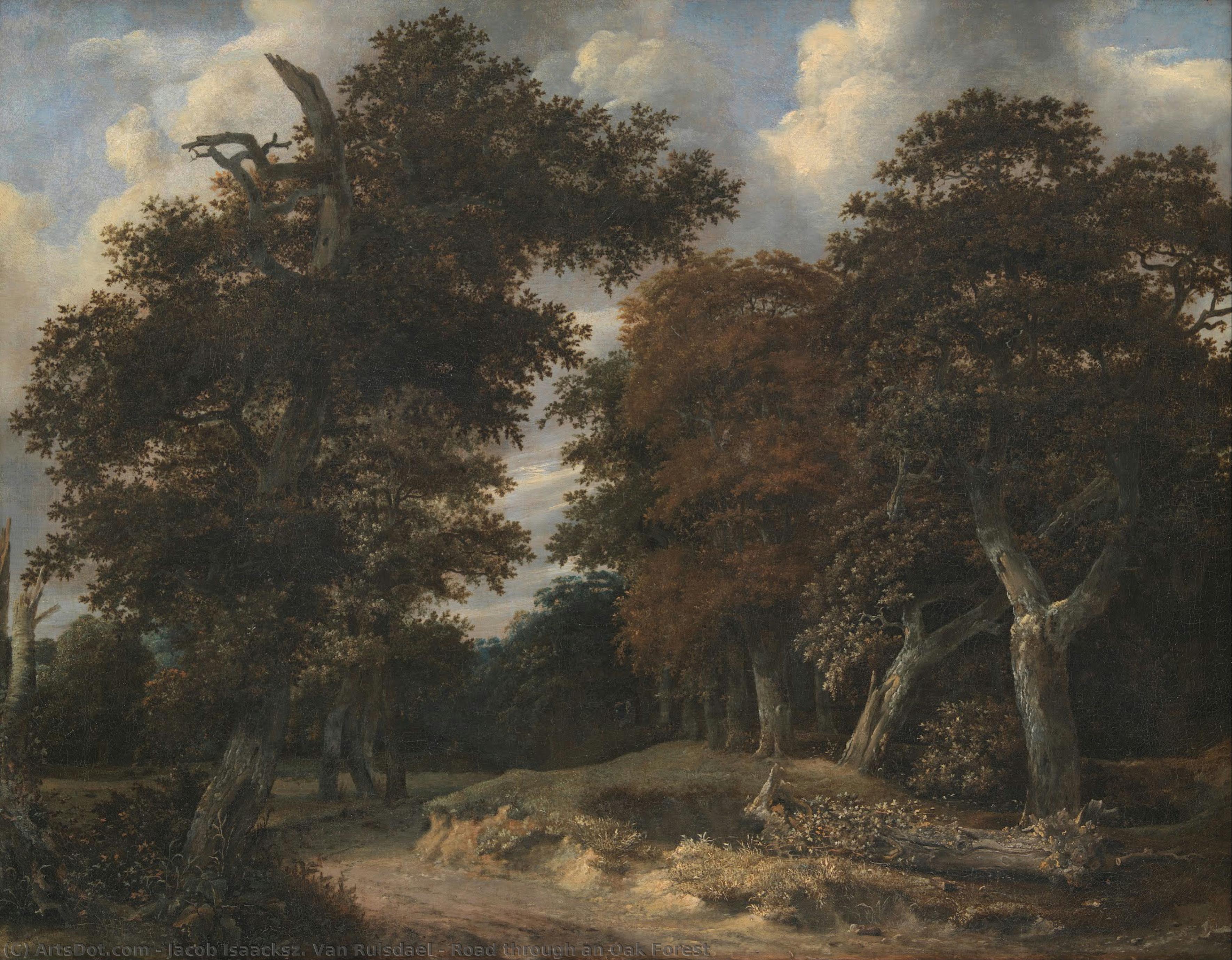 Waldweg Durch Einen Eichenwald — Jacob Van Ruisdael