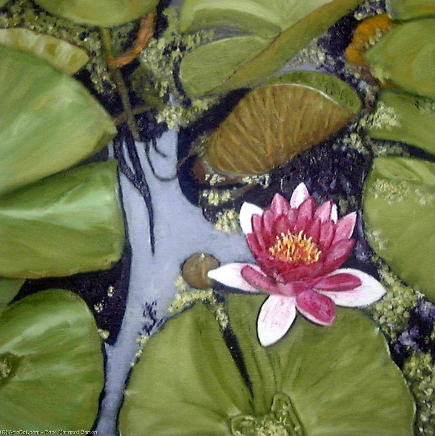 Waterlily Pond — Rose Maynard Barton