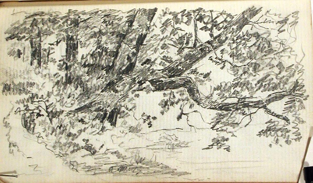 Tree Limb — John Ottis Adams