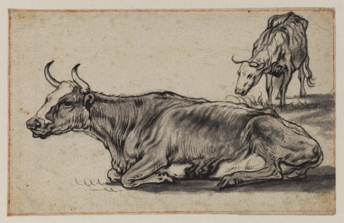 Study, Two Cows 2 — Aelbert Jacobsz Cuyp