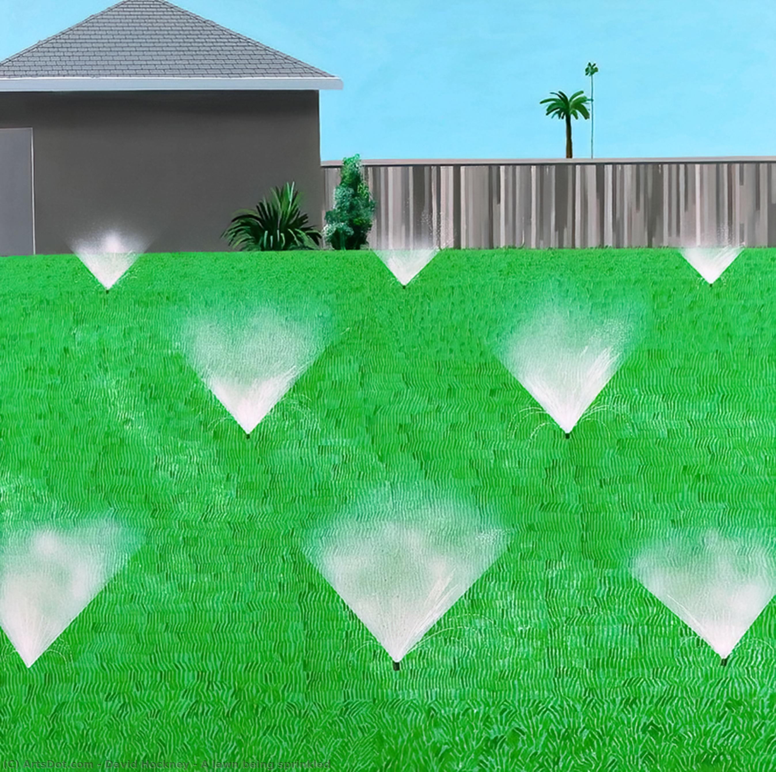 Ein Rasen Wird Eingesprüht — David Hockney