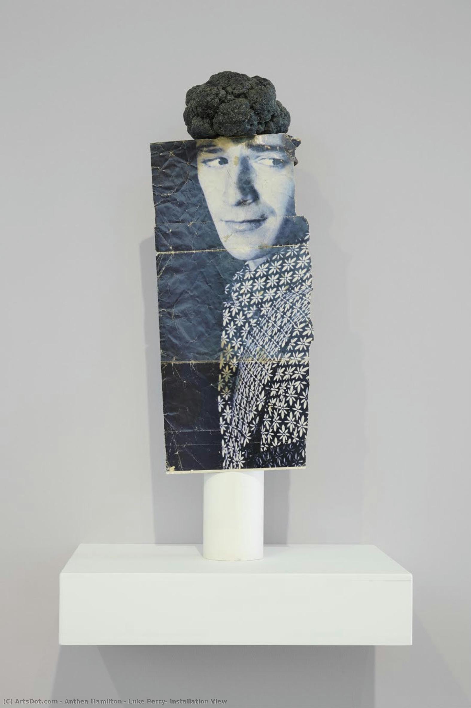 Luke Perry, Installation View — Anthea Hamilton