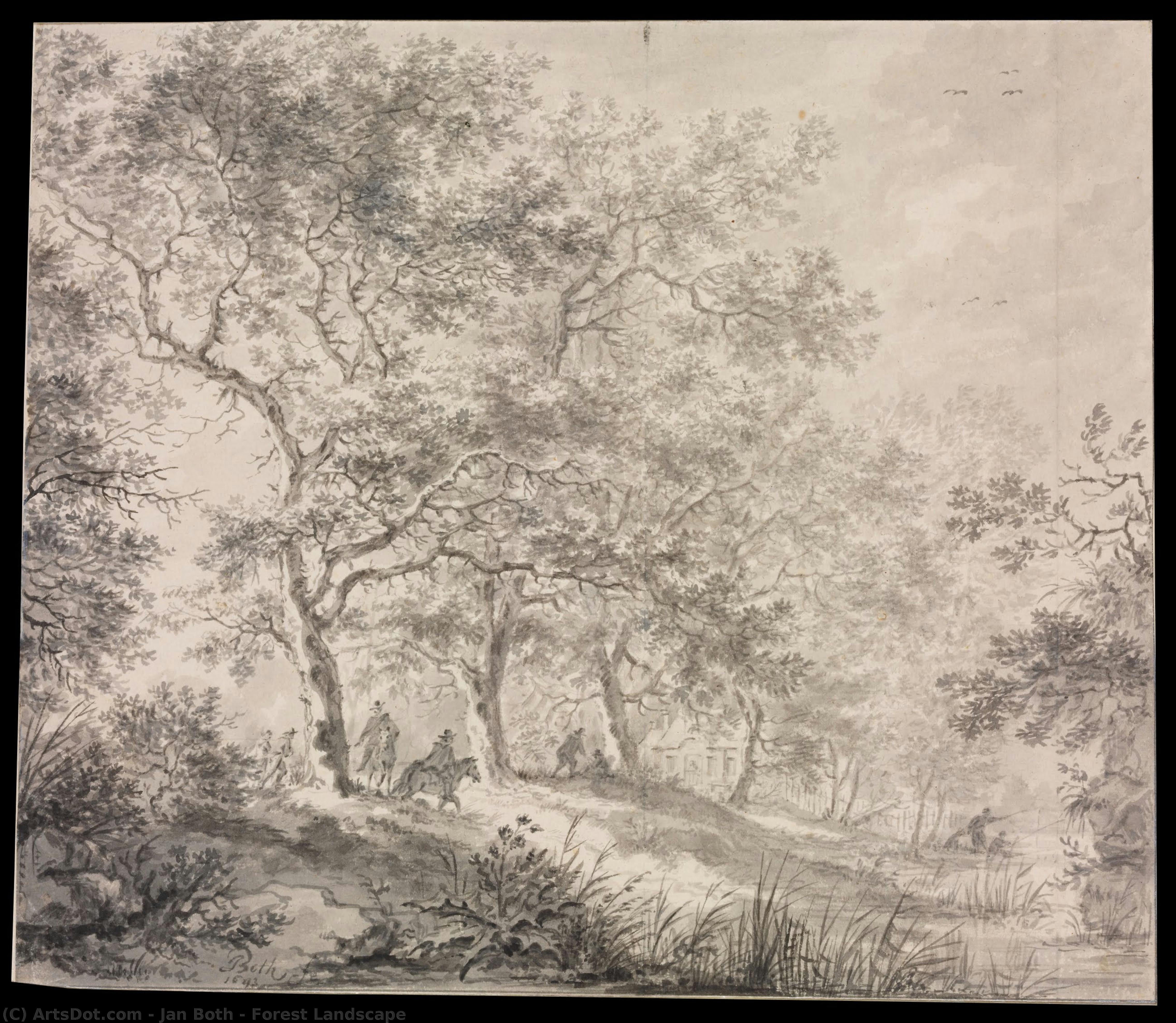 Forest Landscape — Jan Both