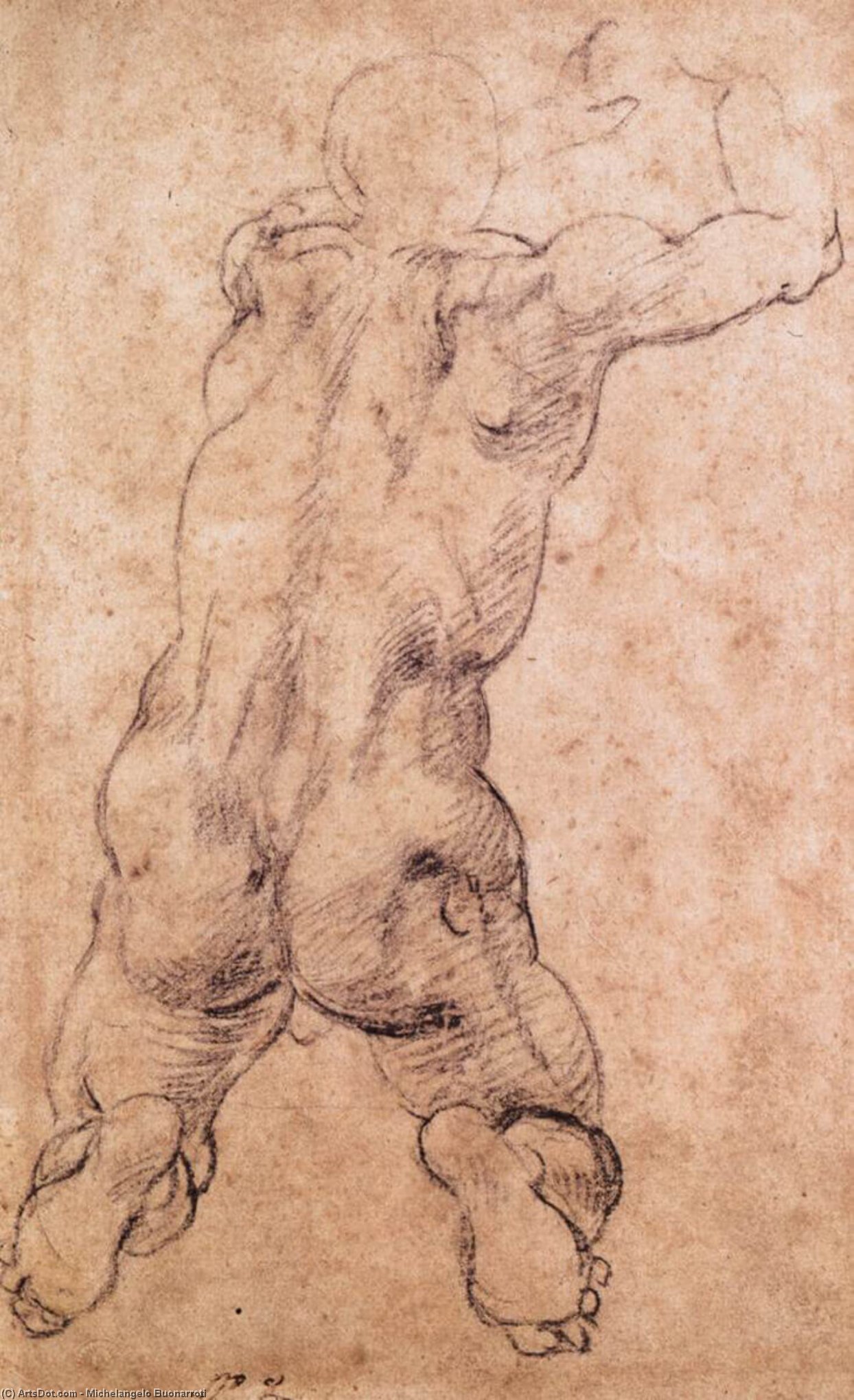 Kneeling Male Nude — 미켈란젤로