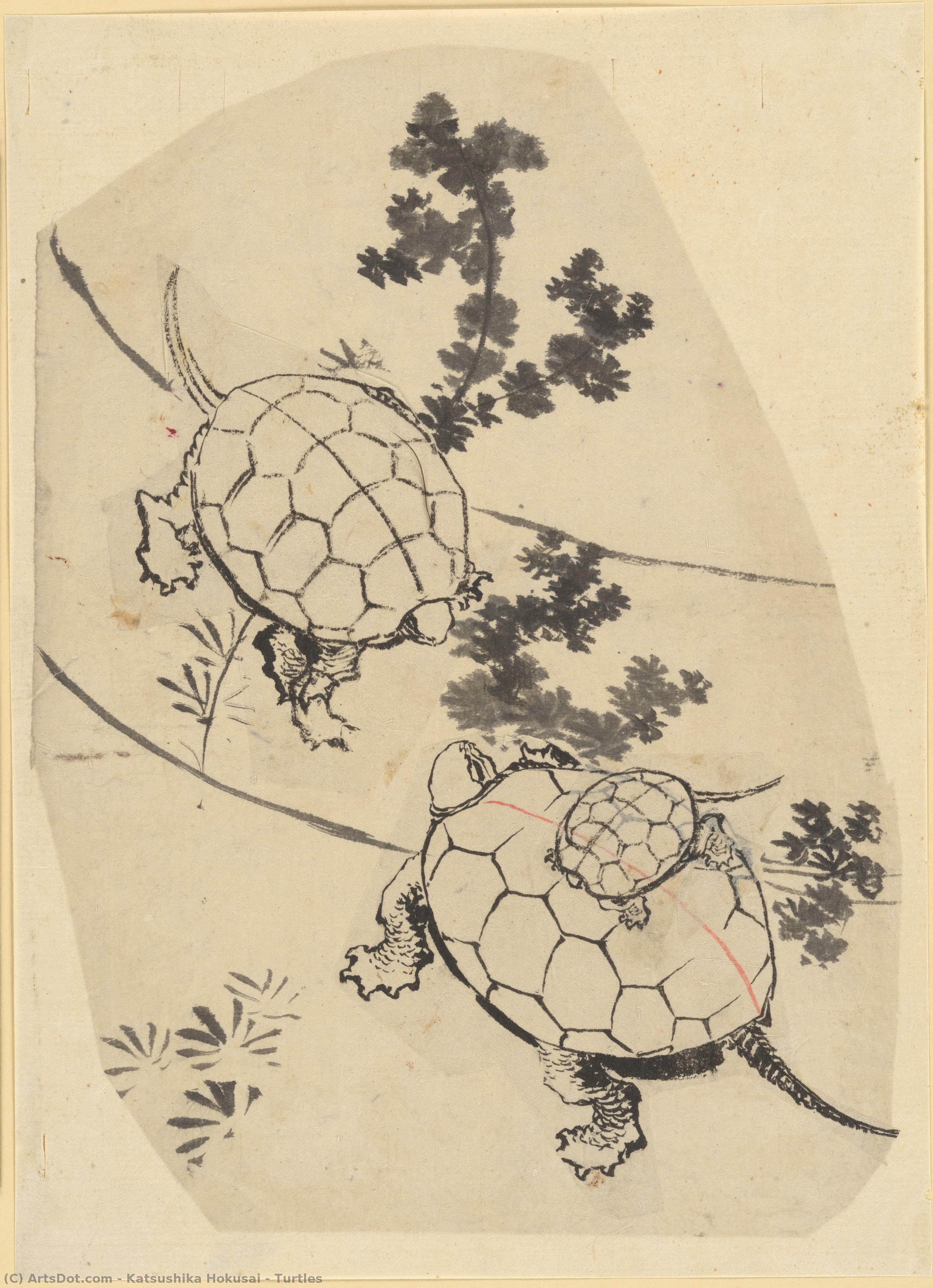Tortues — Katsushika Hokusai