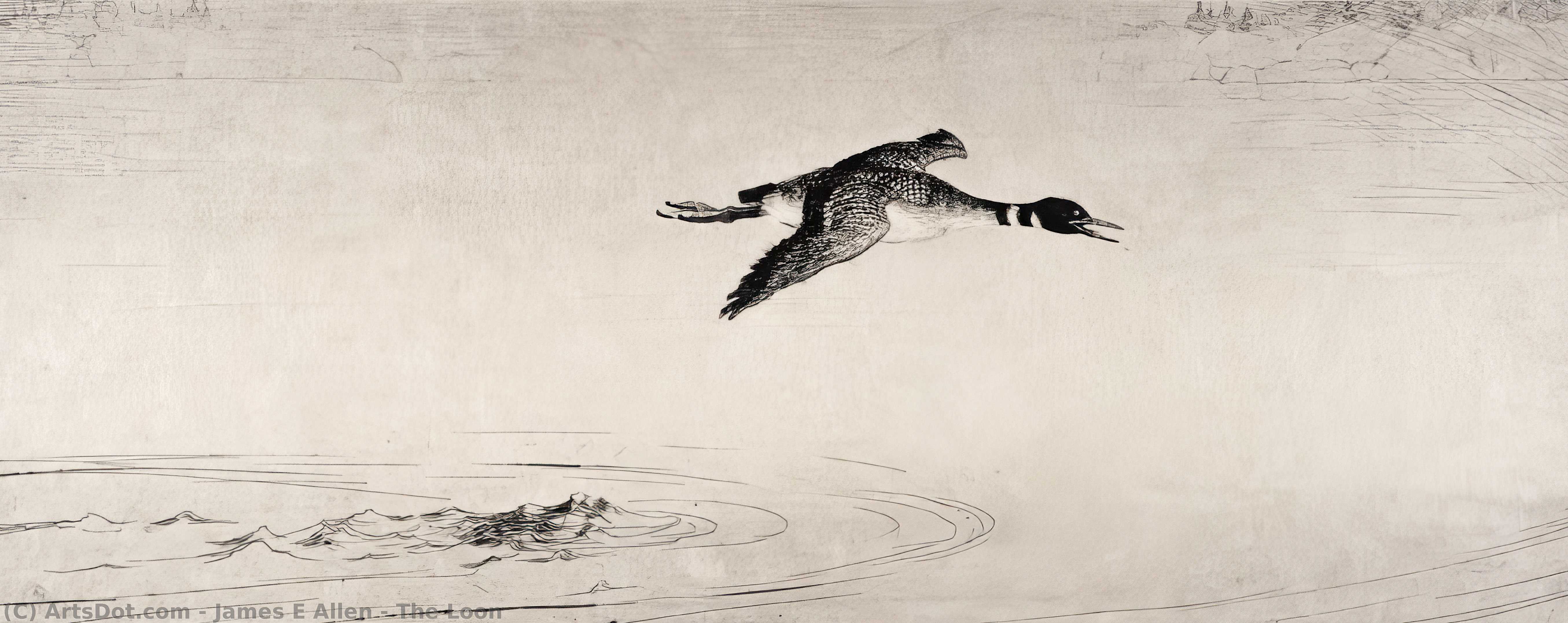 The Loon — James E Allen