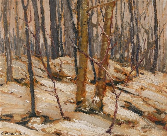 Winter Sunset, Algonquin Park — Tomas Tompson