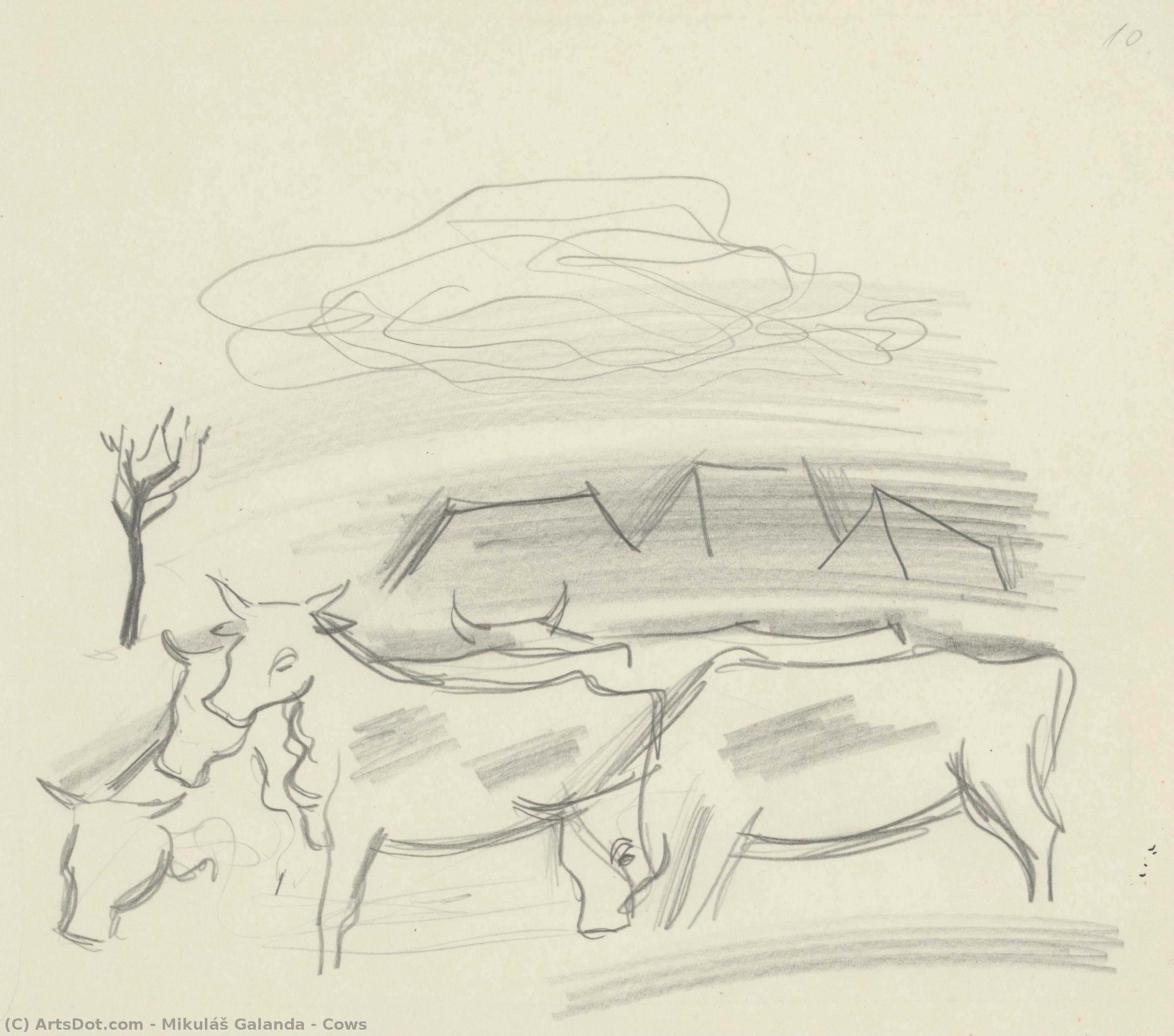 Cows — Mikuláš Galanda