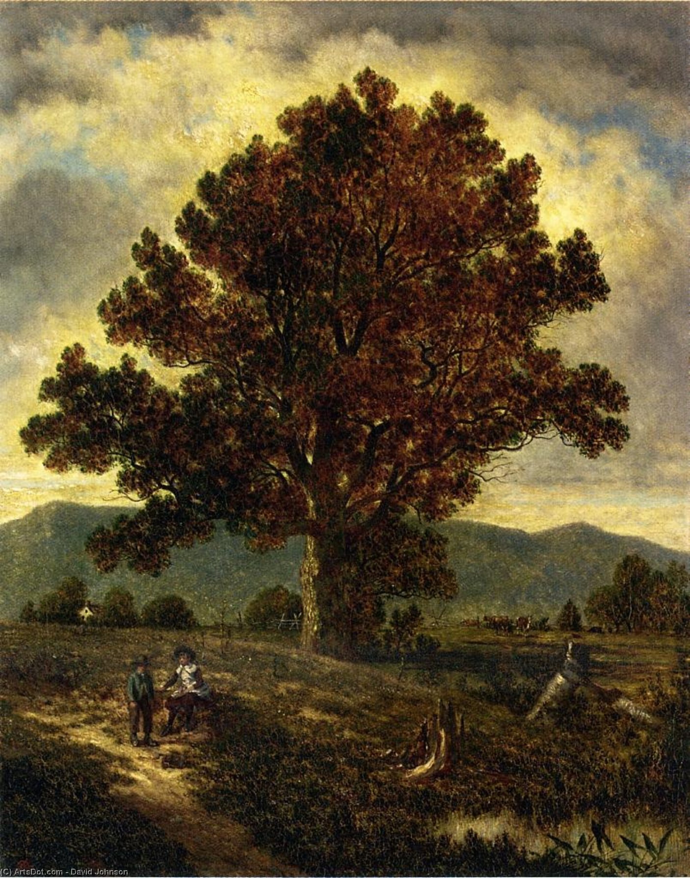 The Pathway Home — David Johnson