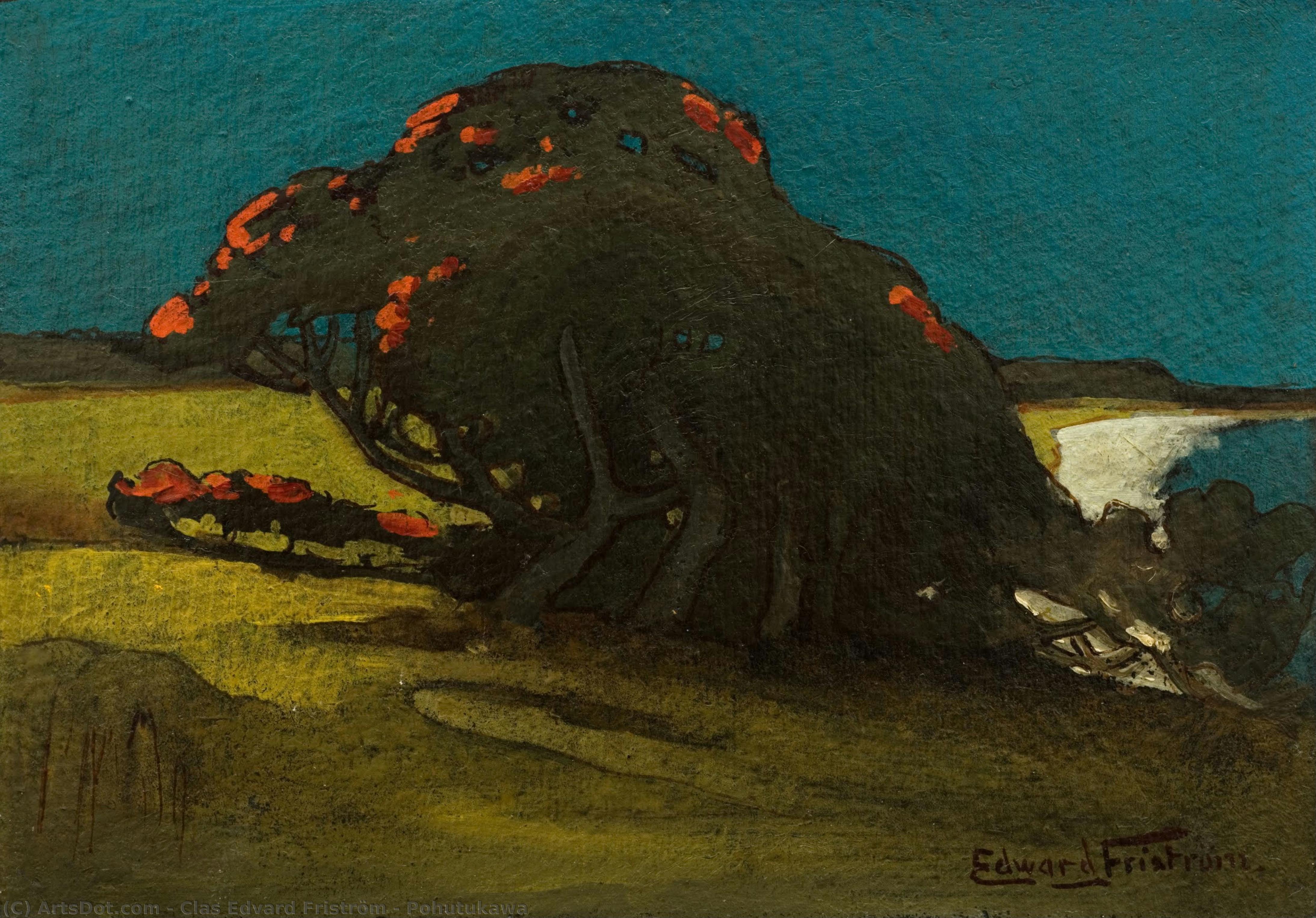 Pohutukawa — Clas Edvard Friström