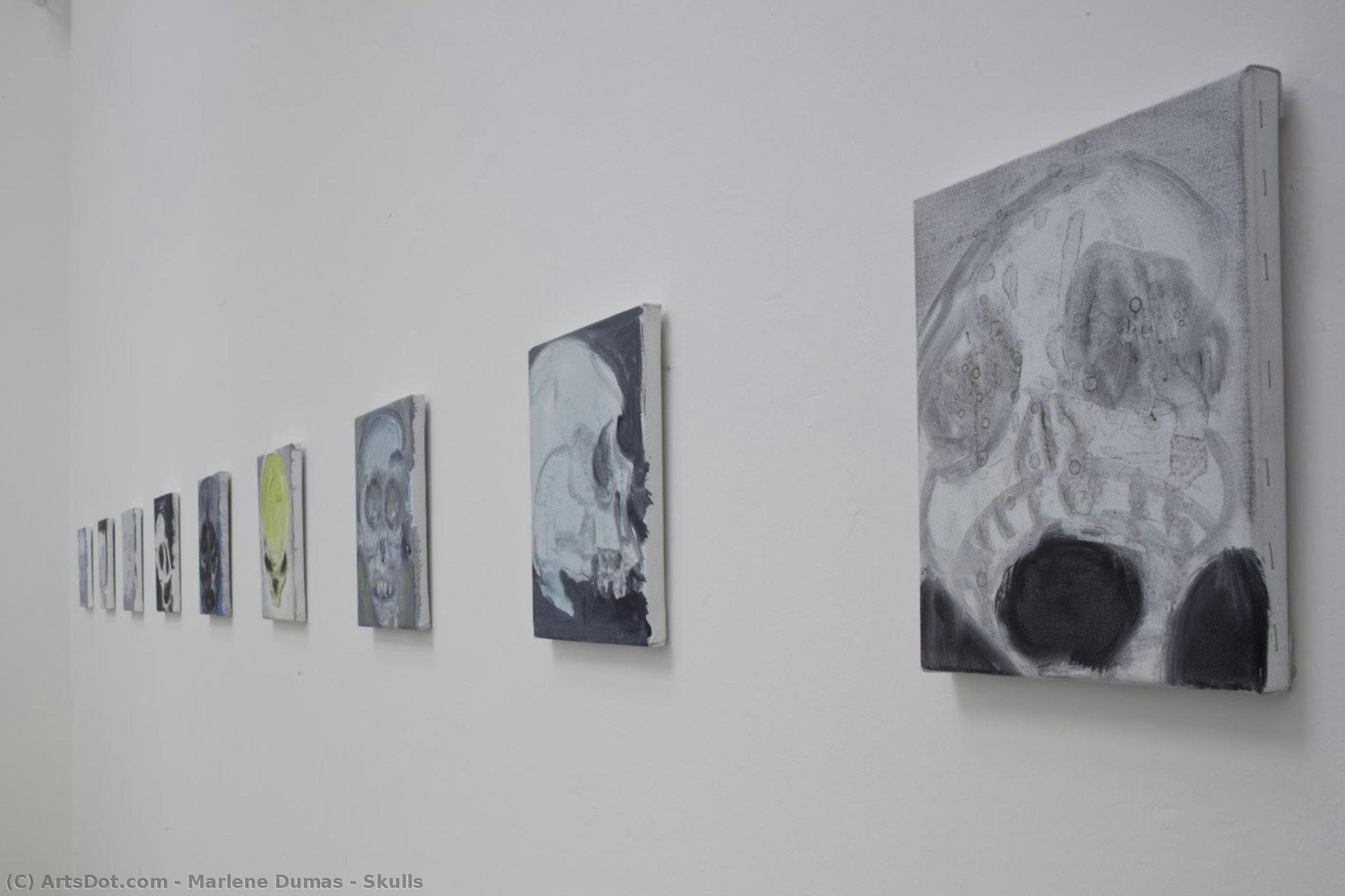 Skulls — Marlene Dumas