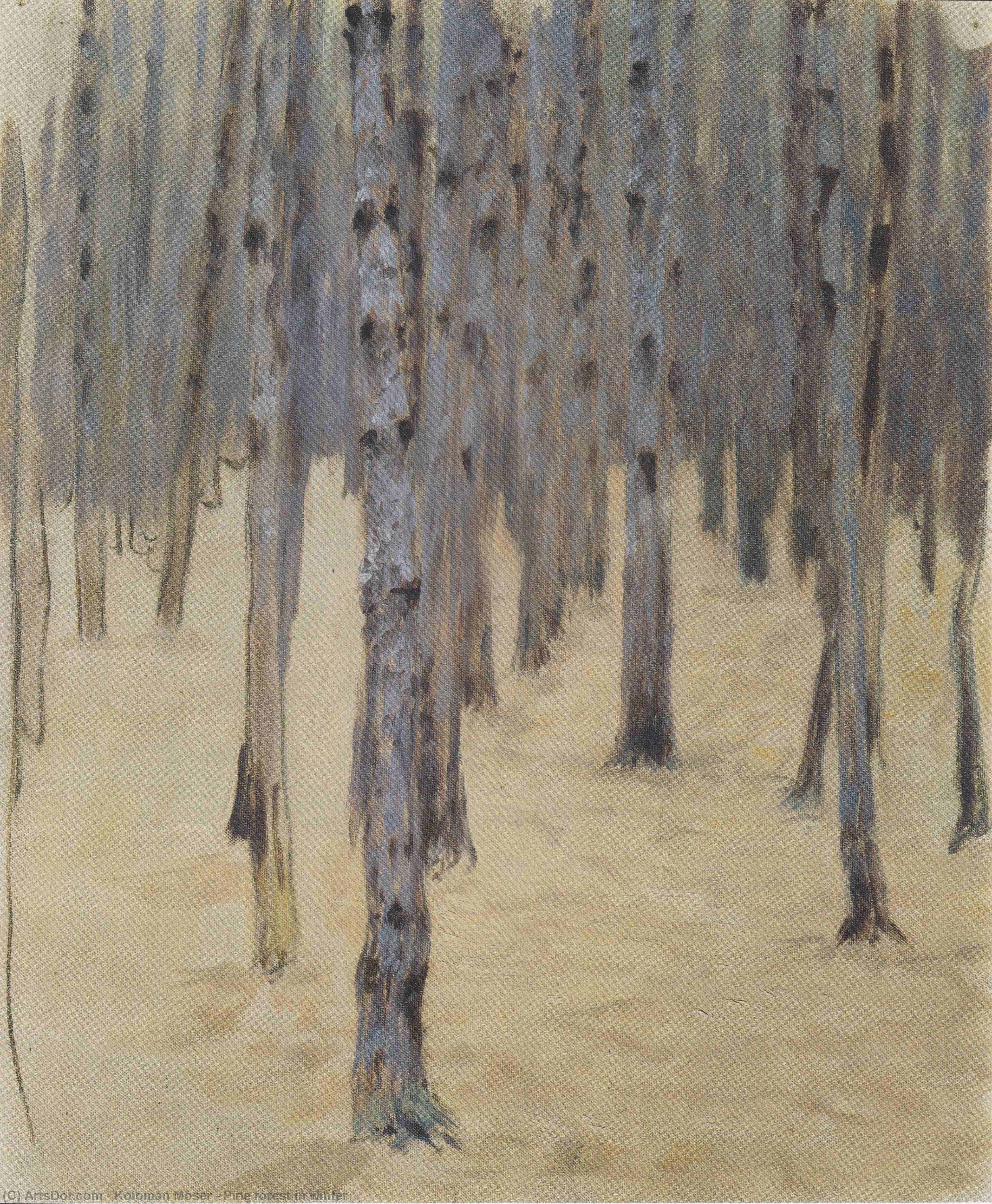 Pine Forest In Winter — Kolomanas Mozeris