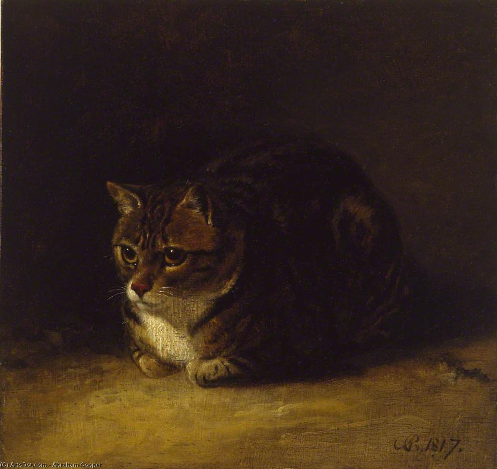 Study Of A Cat — Абрахам Купер