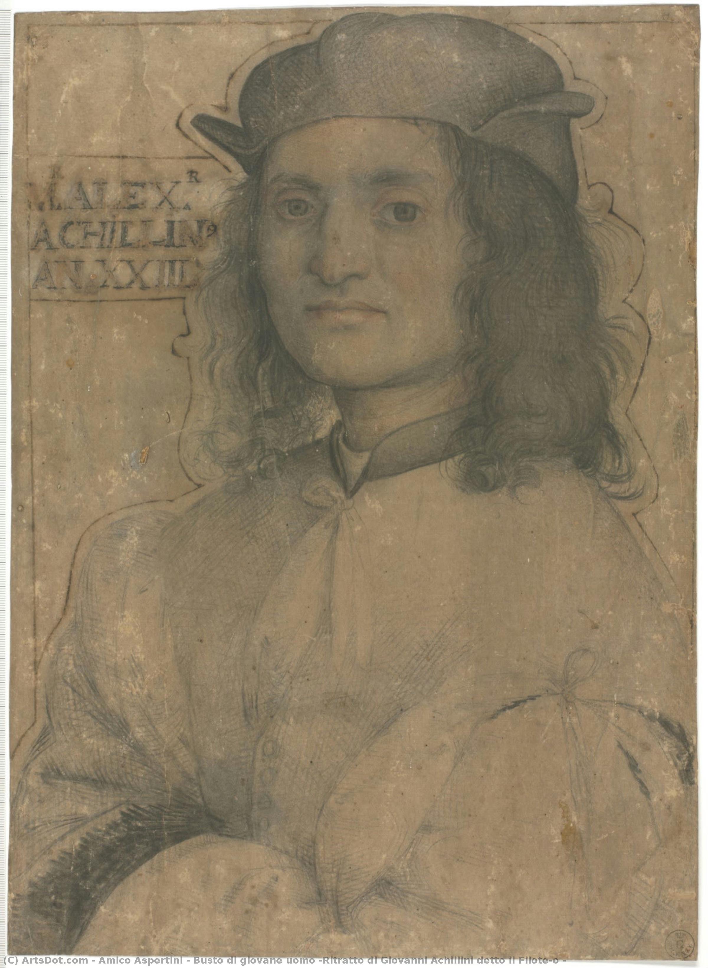 Busto Di Giovane Uomo (ritratto Di Giovanni Achillini Detto Il Filotèo ) — Amico Aspertini