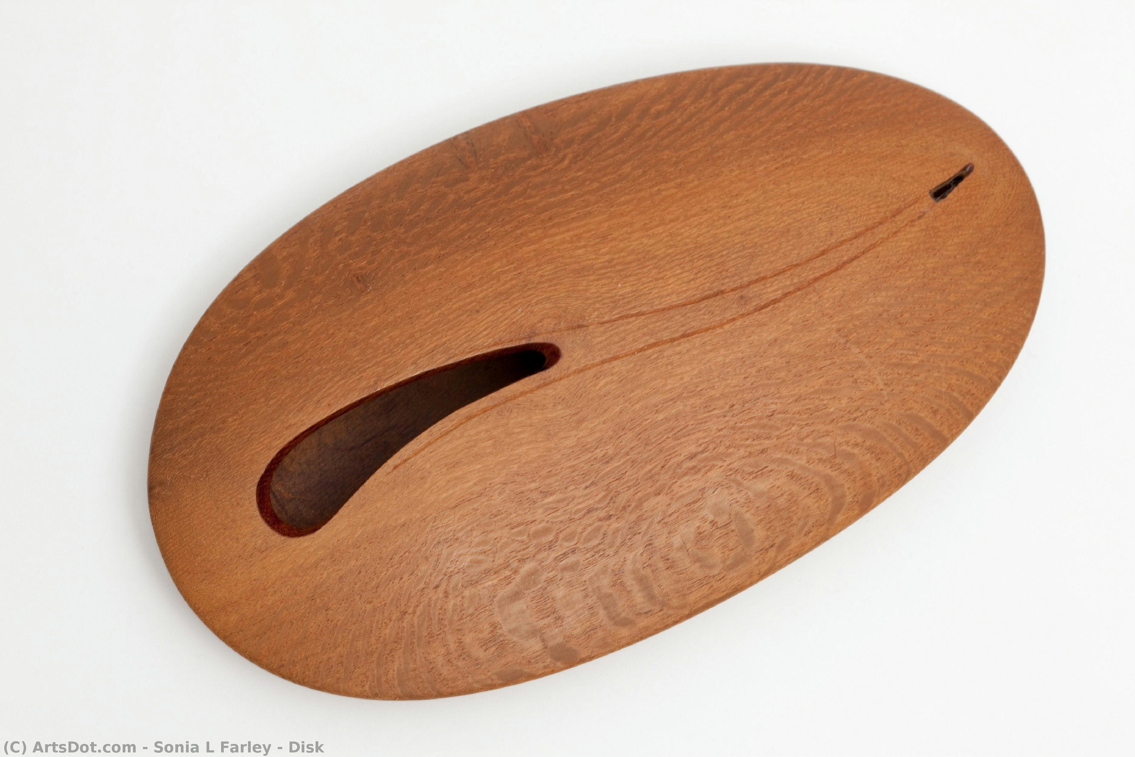 Disk — Sonia L Farley
